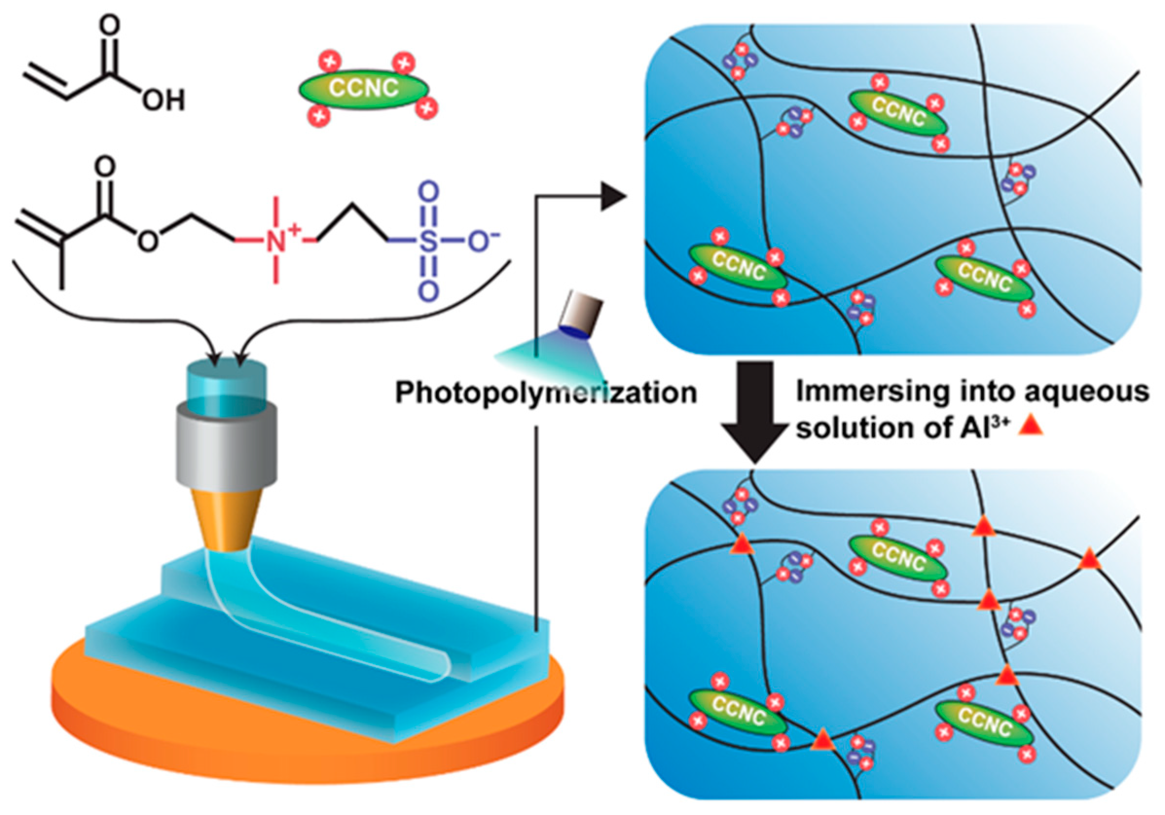 Polymers 13 00688 g001
