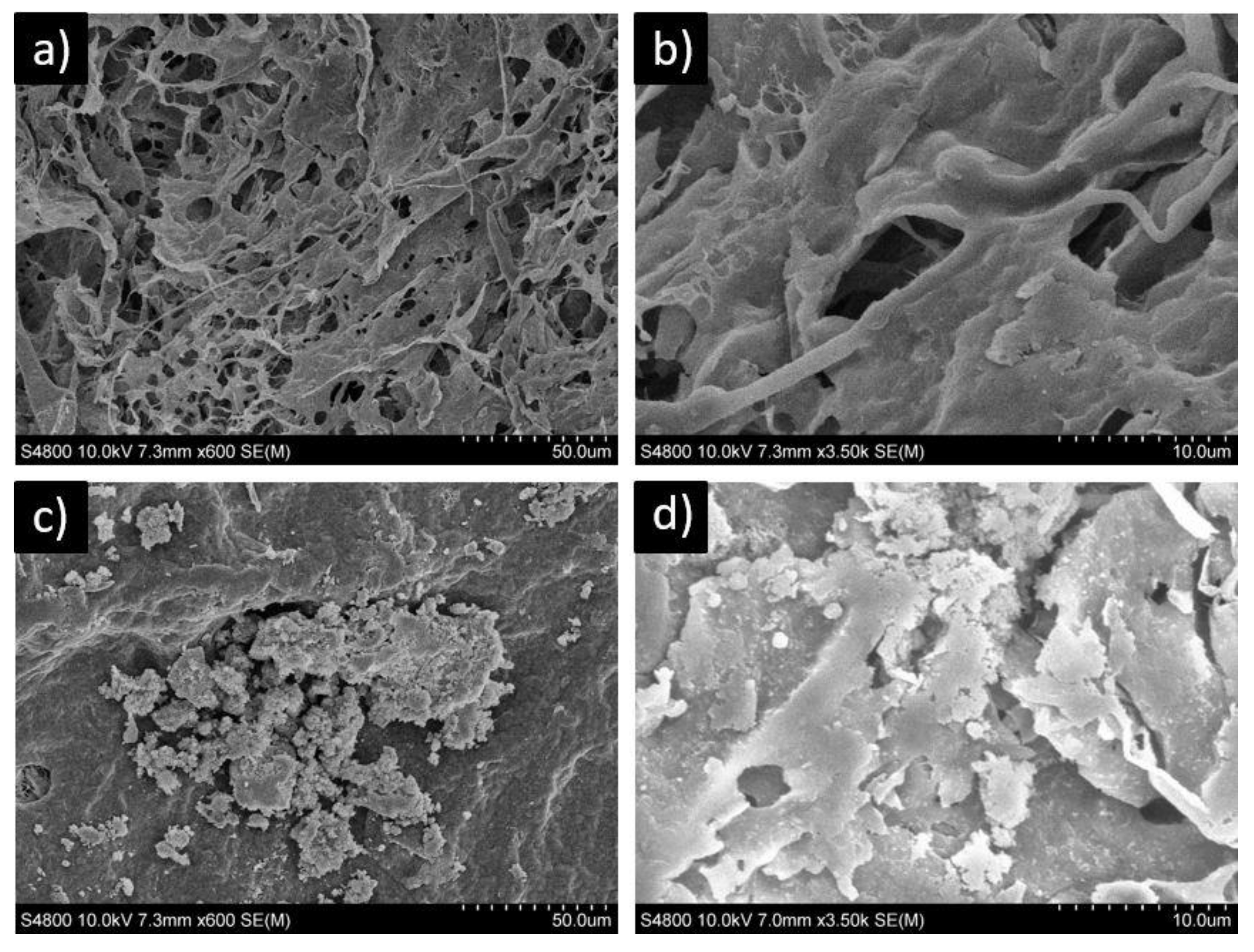 Polymers 13 00691 g005 Polymers 13 00691 g005