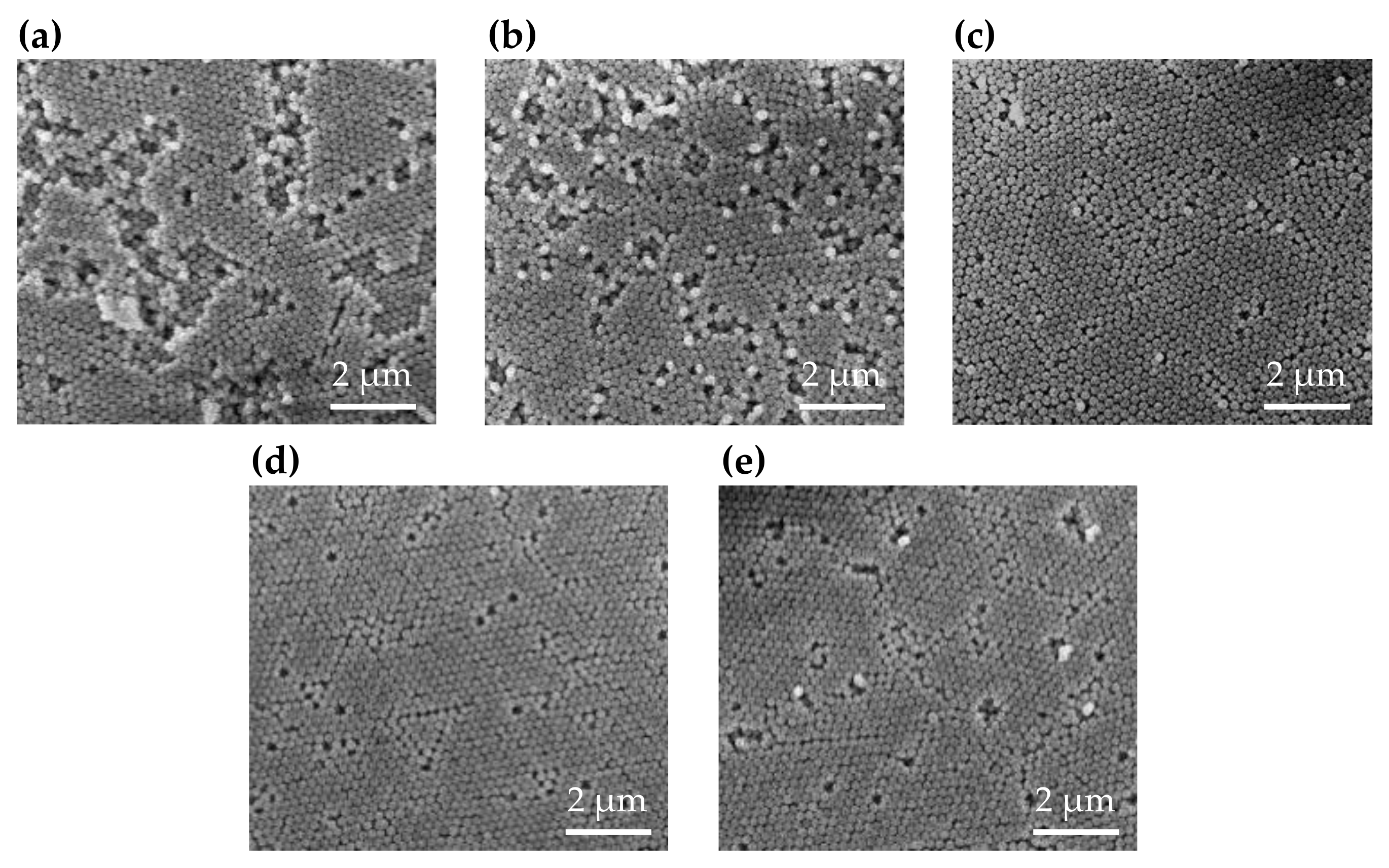 Polymers 13 00692 g006