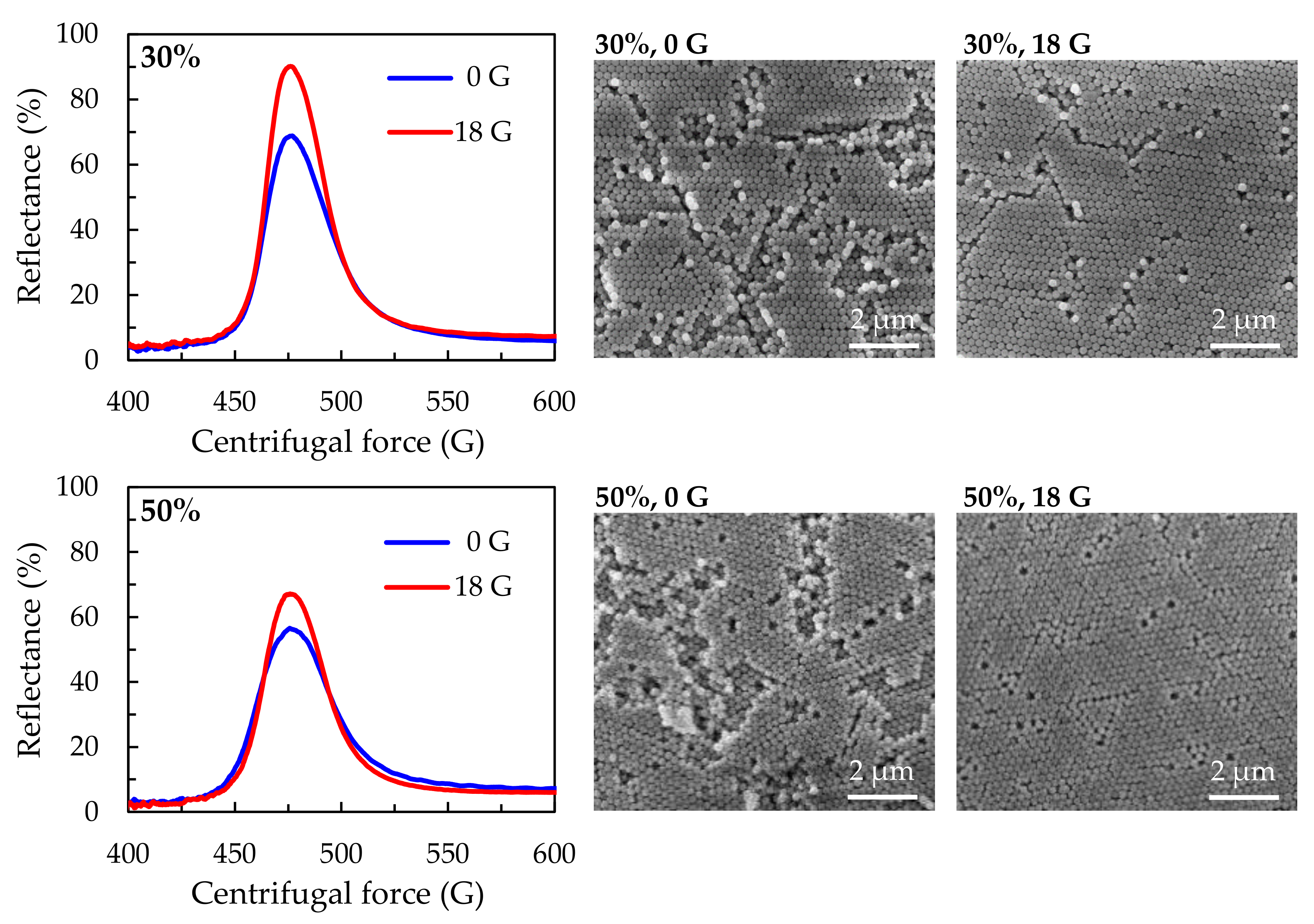 Polymers 13 00692 g007