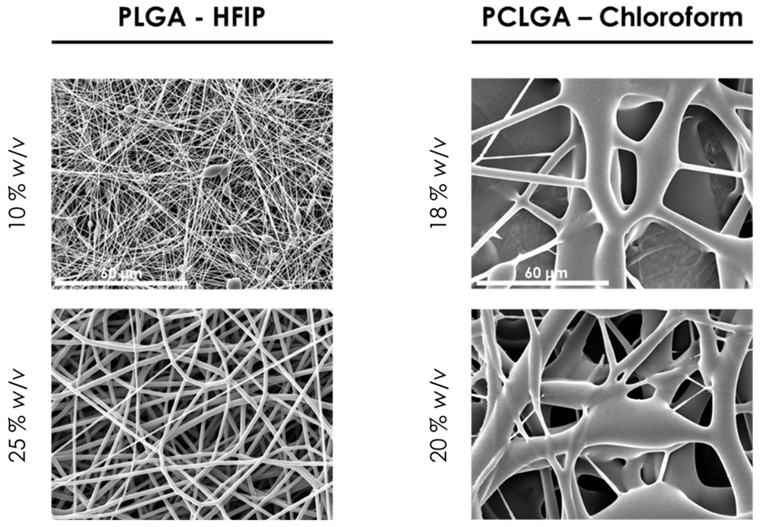 Polymers 13 00695 g002 Polymers 13 00695 g002
