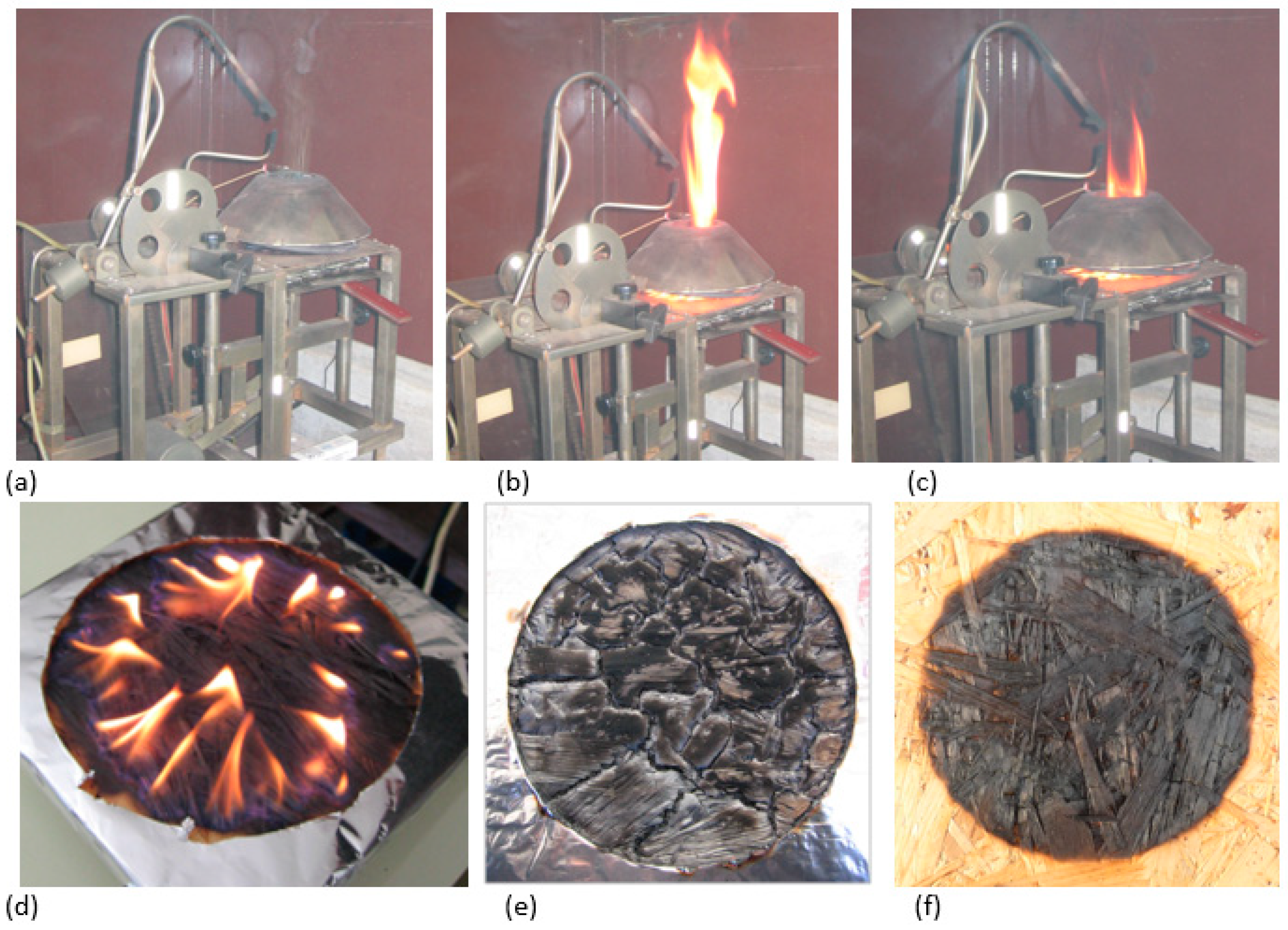 Polymers 13 00709 g004
