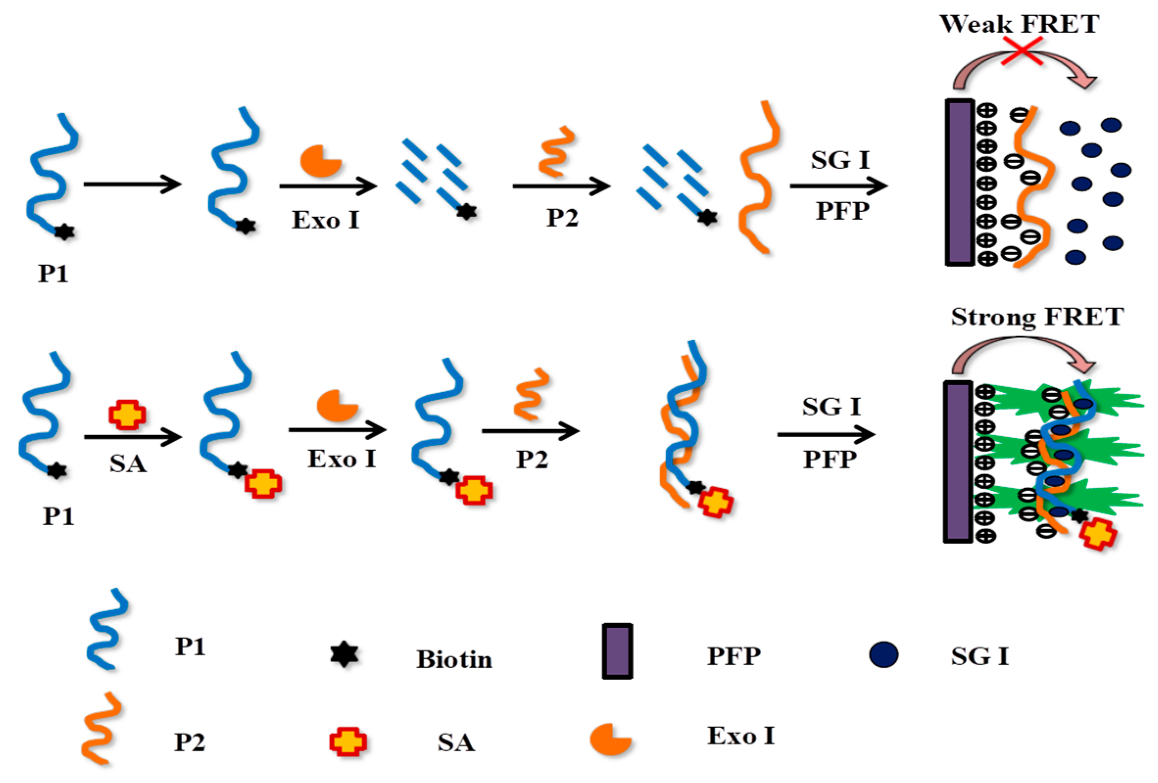 Polymers 13 00725 sch001