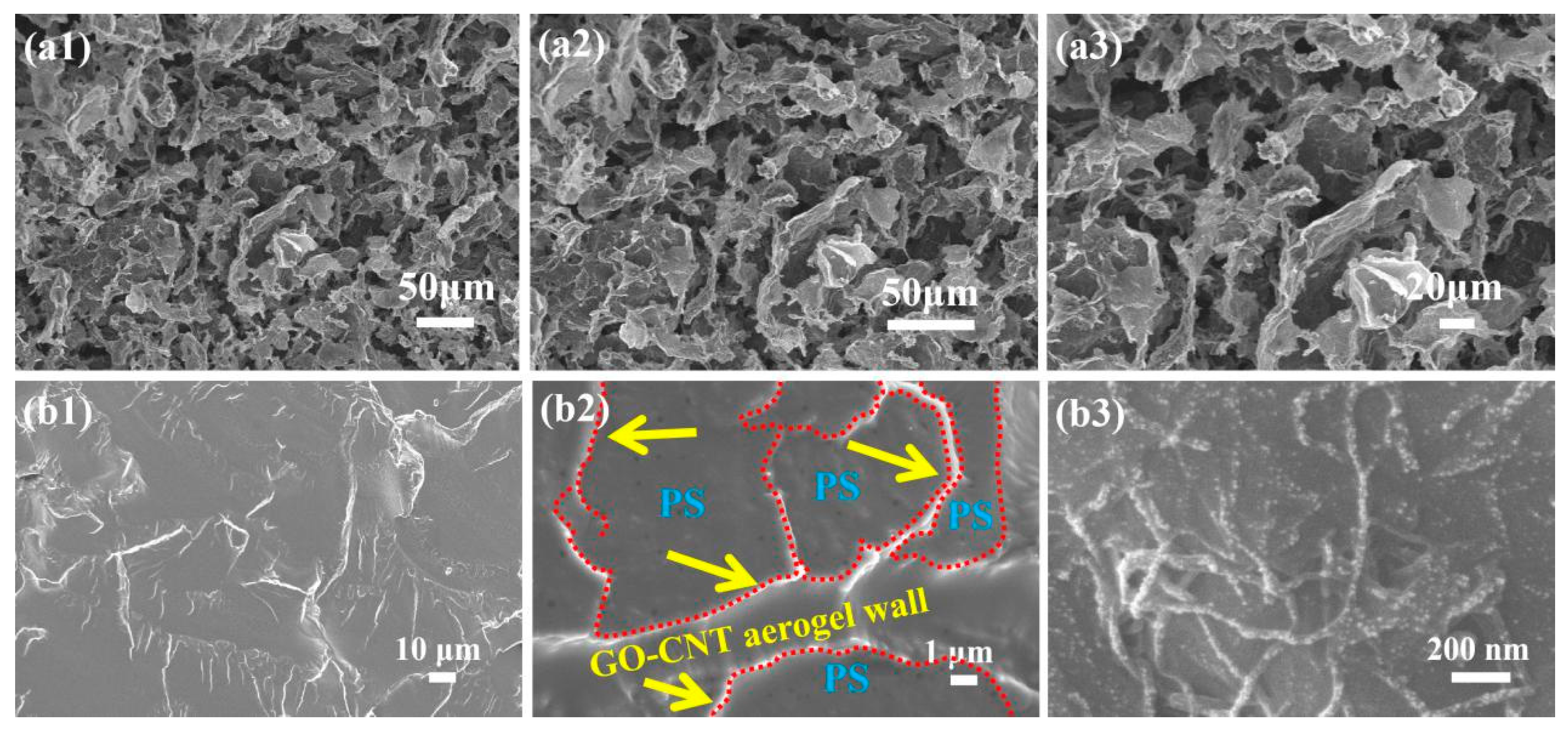 Polymers 13 00735 g007