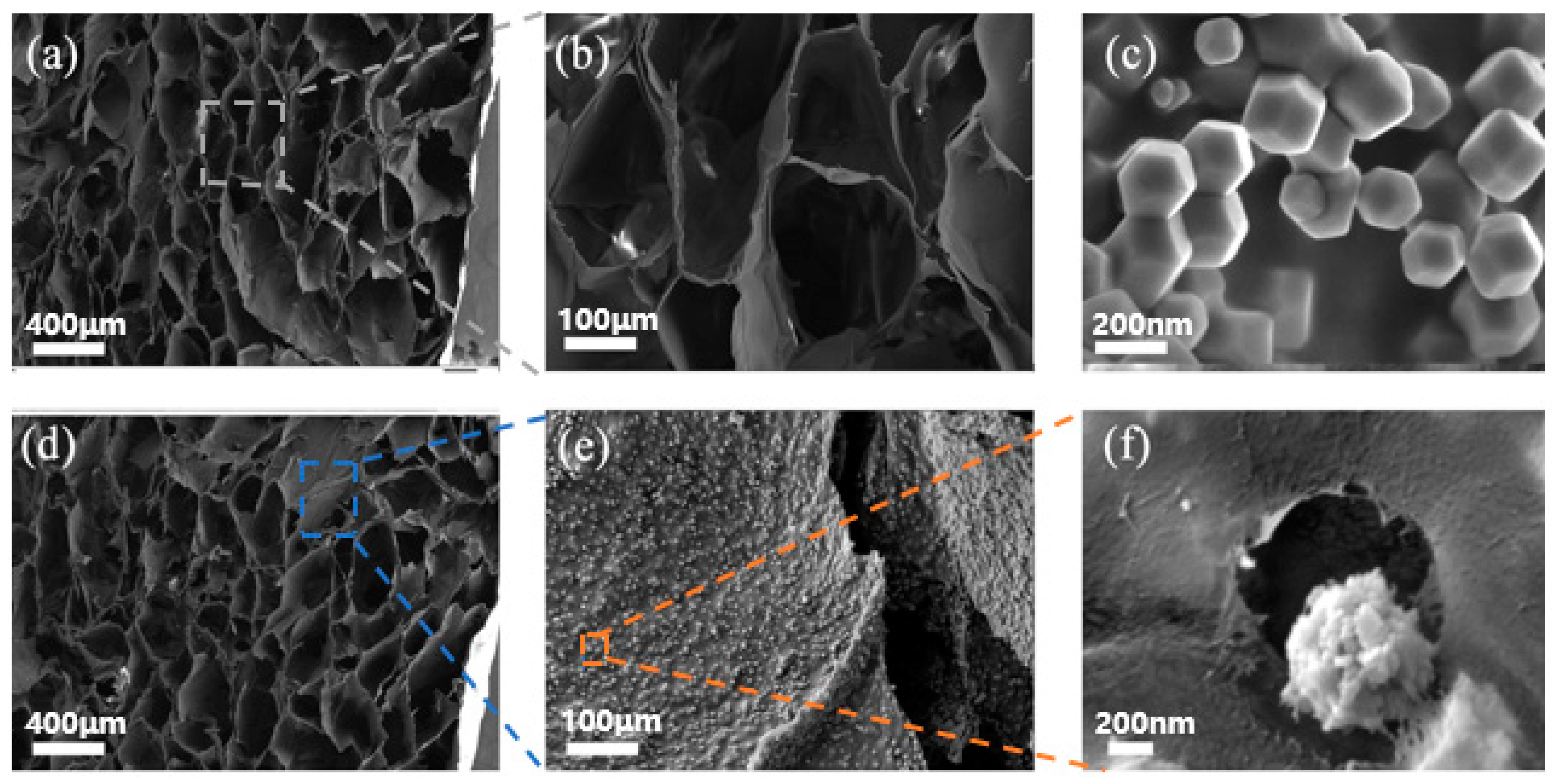 Polymers 13 00739 g002 Polymers 13 00739 g002