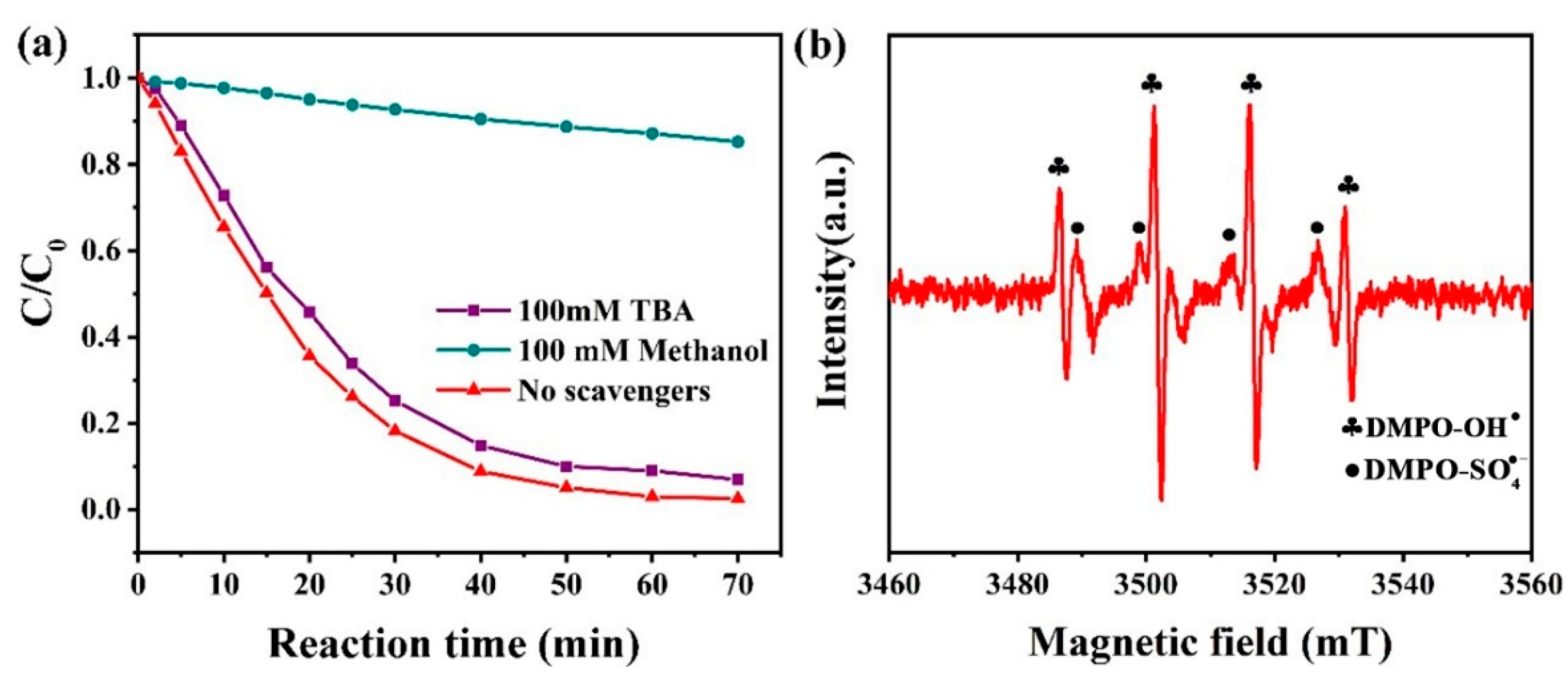 Polymers 13 00739 g006 Polymers 13 00739 g006