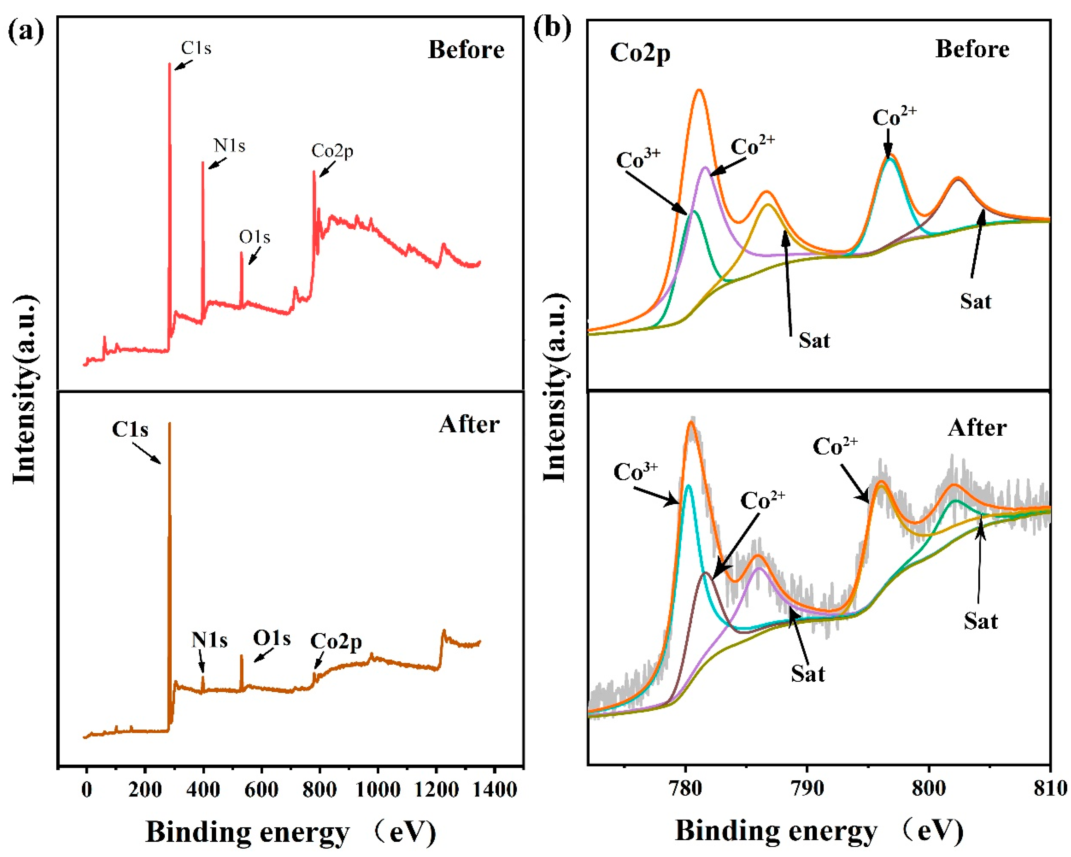 Polymers 13 00739 g007 Polymers 13 00739 g007