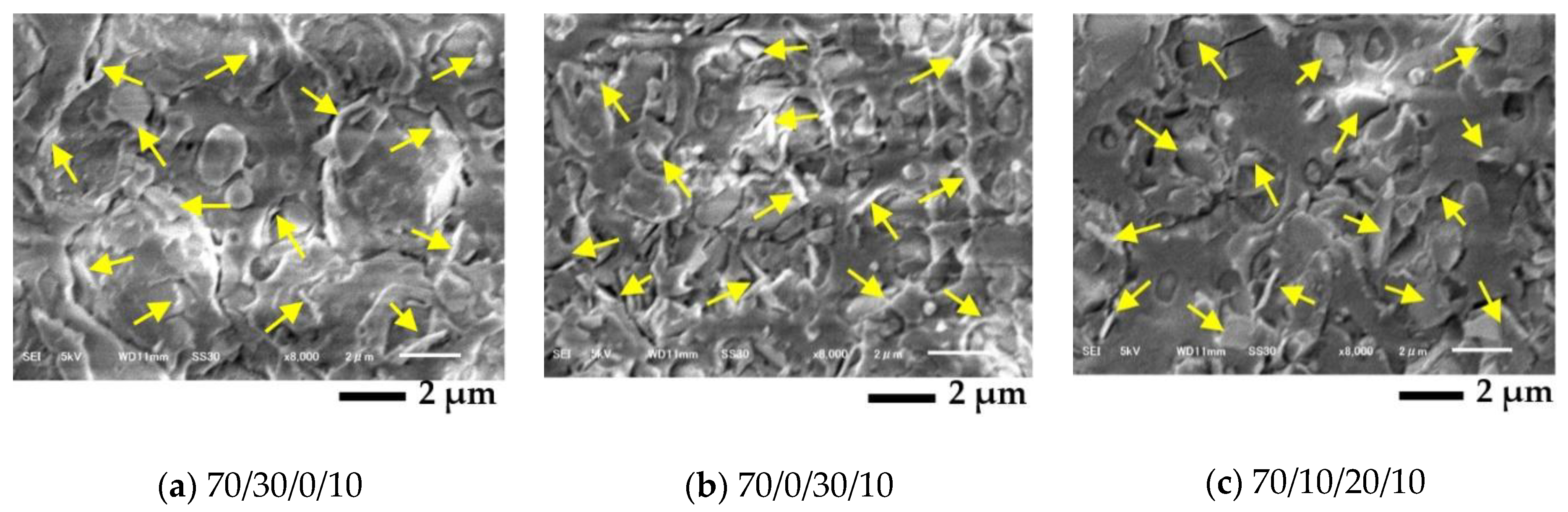 Polymers 13 00740 g007 Polymers 13 00740 g007
