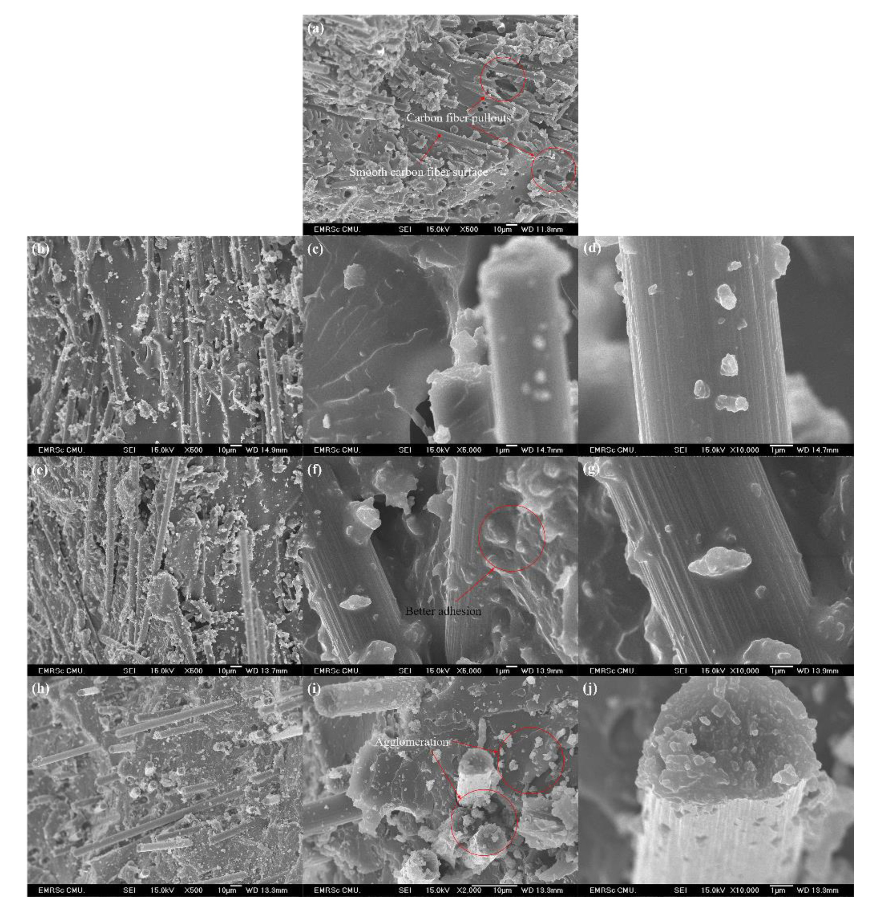 Polymers 13 00754 g008