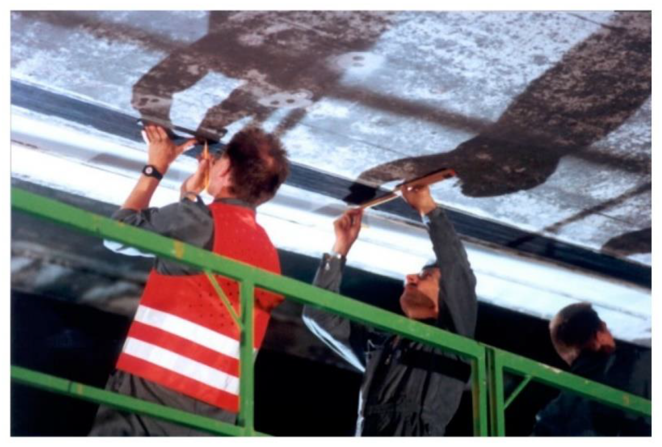 Polymers 13 00765 g001