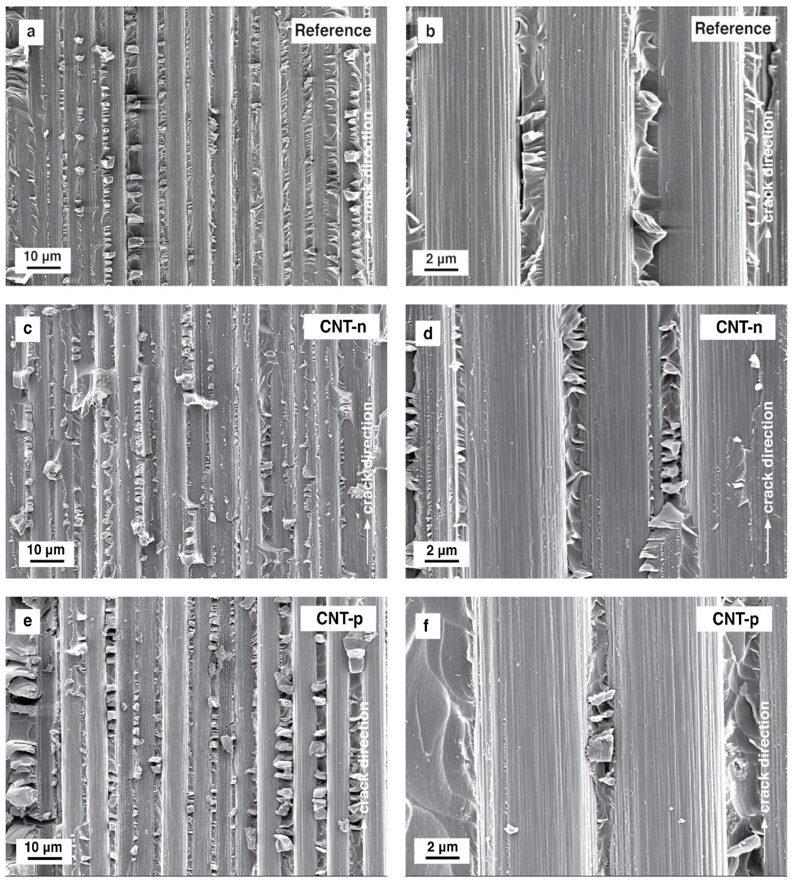 Polymers 13 00770 g011 Polymers 13 00770 g011