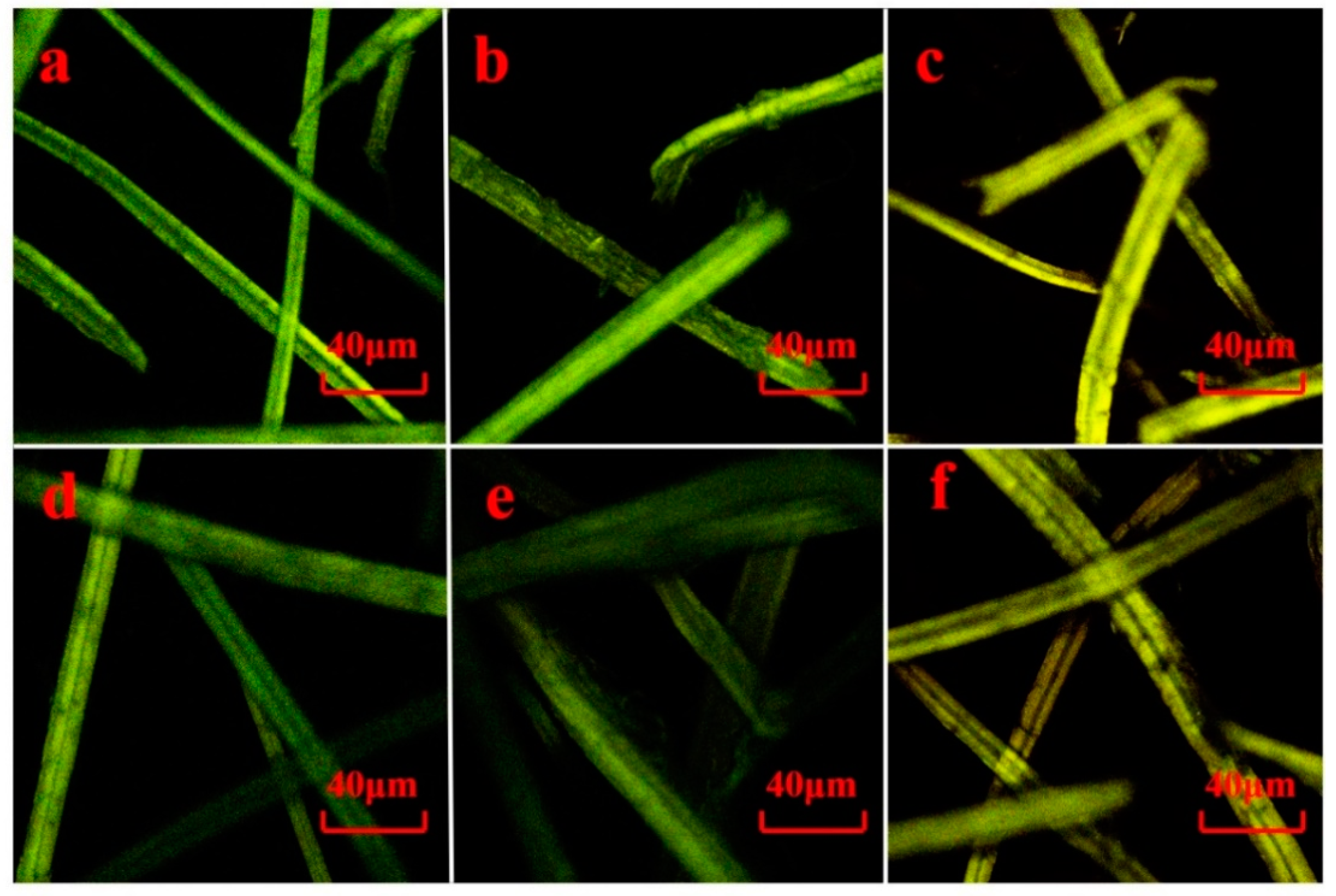 Polymers 13 00787 g005 Polymers 13 00787 g005