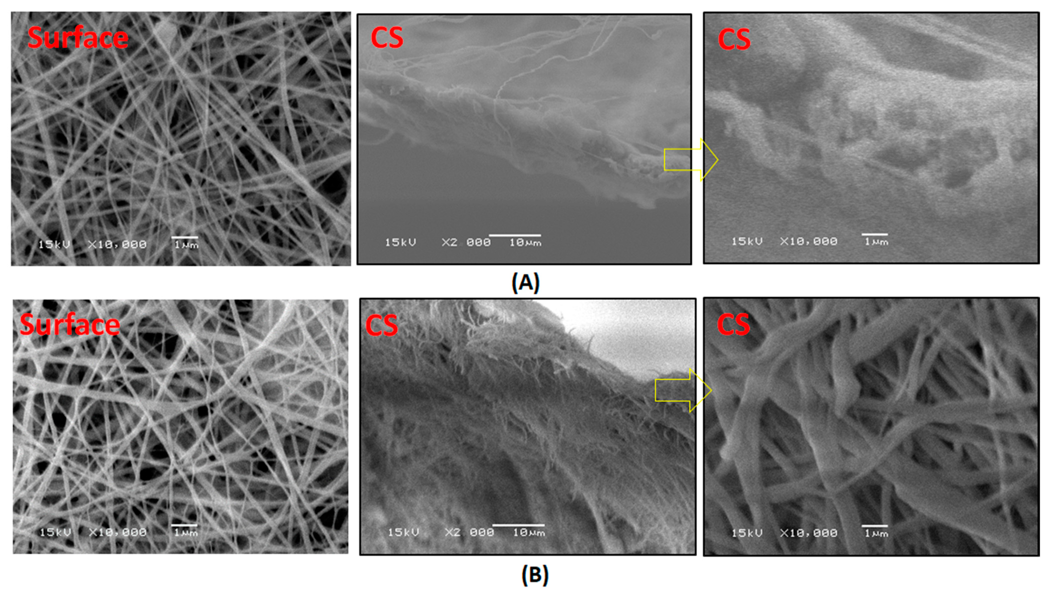 Polymers 13 00790 g008