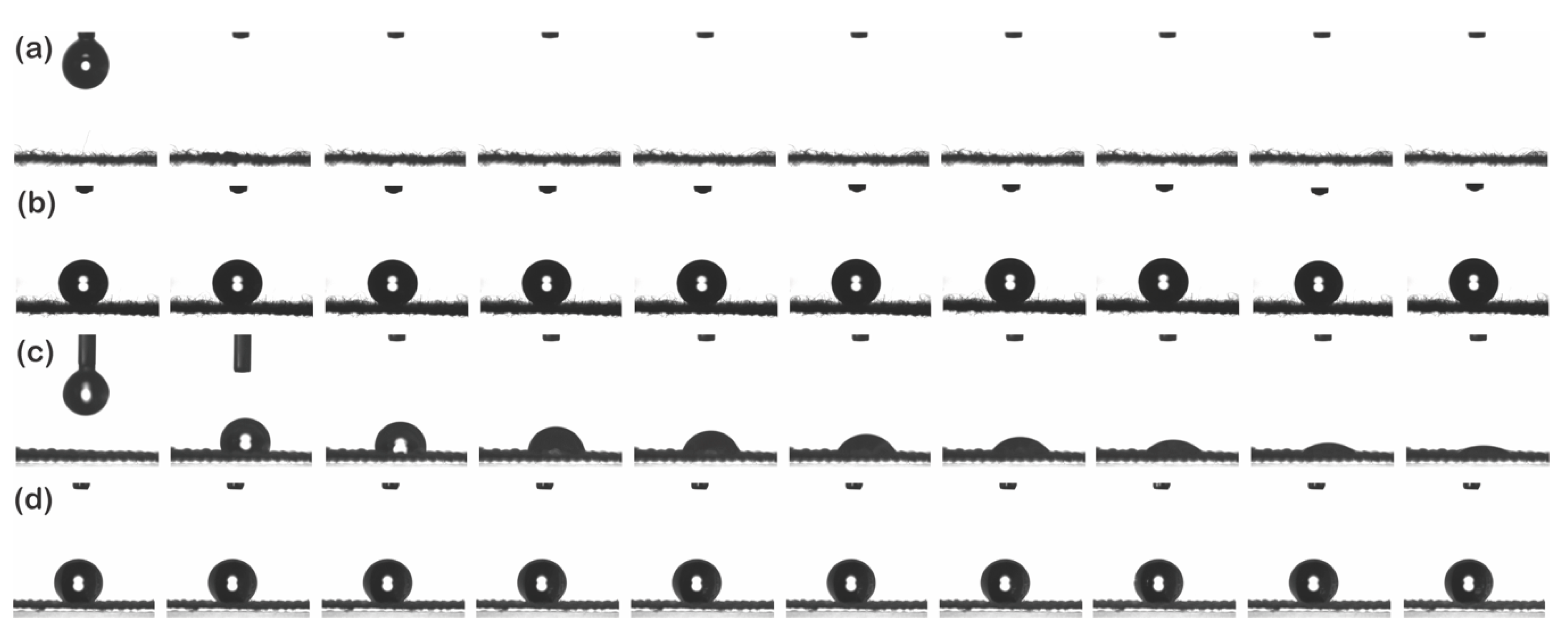 Polymers 13 00817 g004
