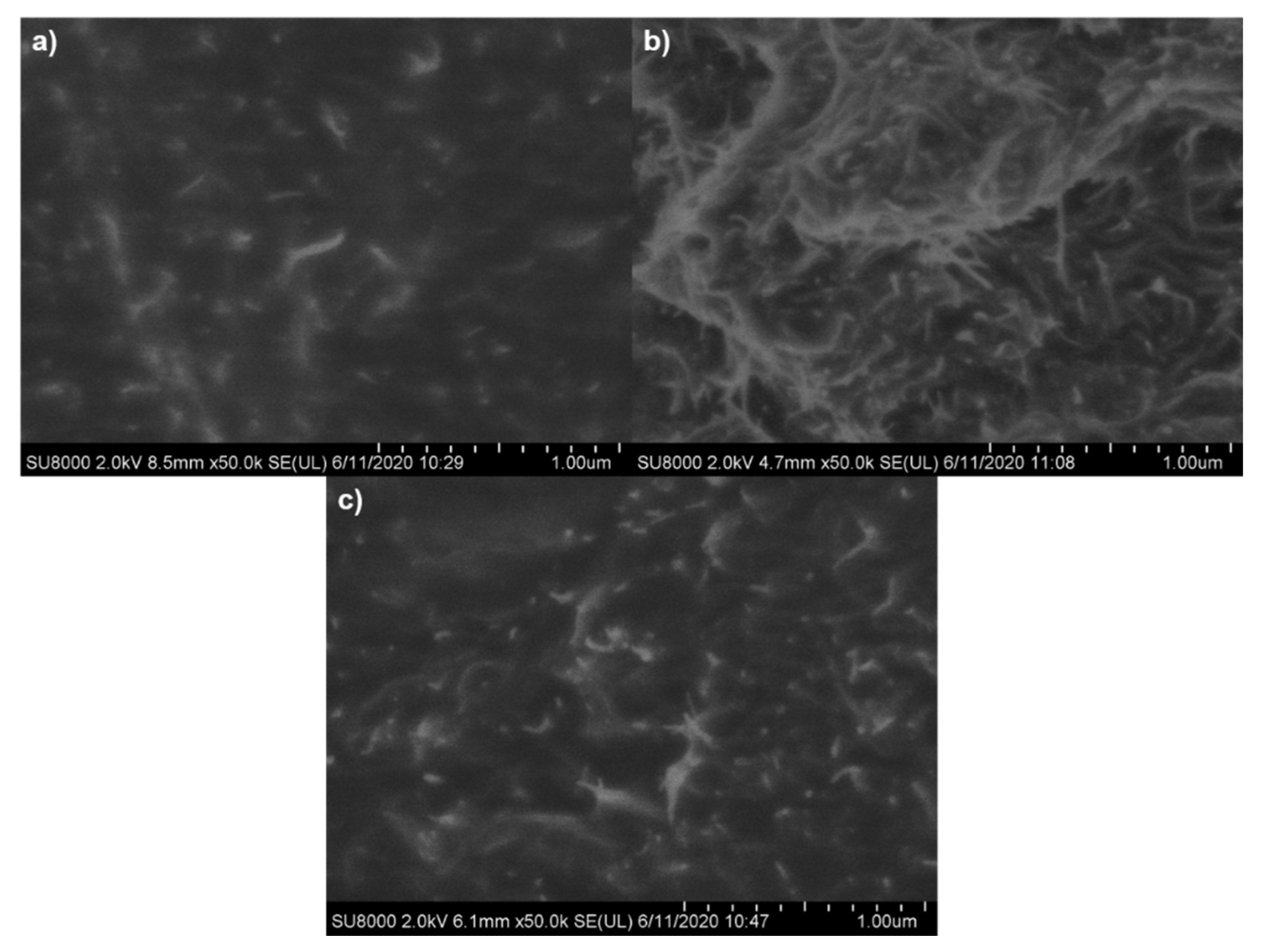 Polymers 13 00821 g008