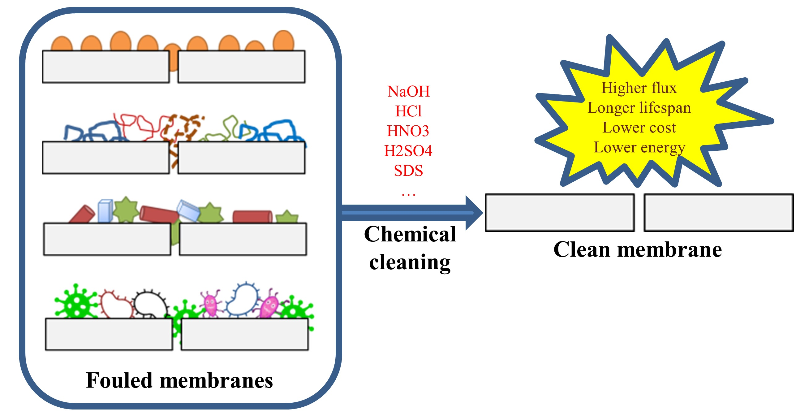 Polymers | Free Full-Text | Fouling and Chemical Cleaning of  Microfiltration Membranes: A Mini-Review | HTML