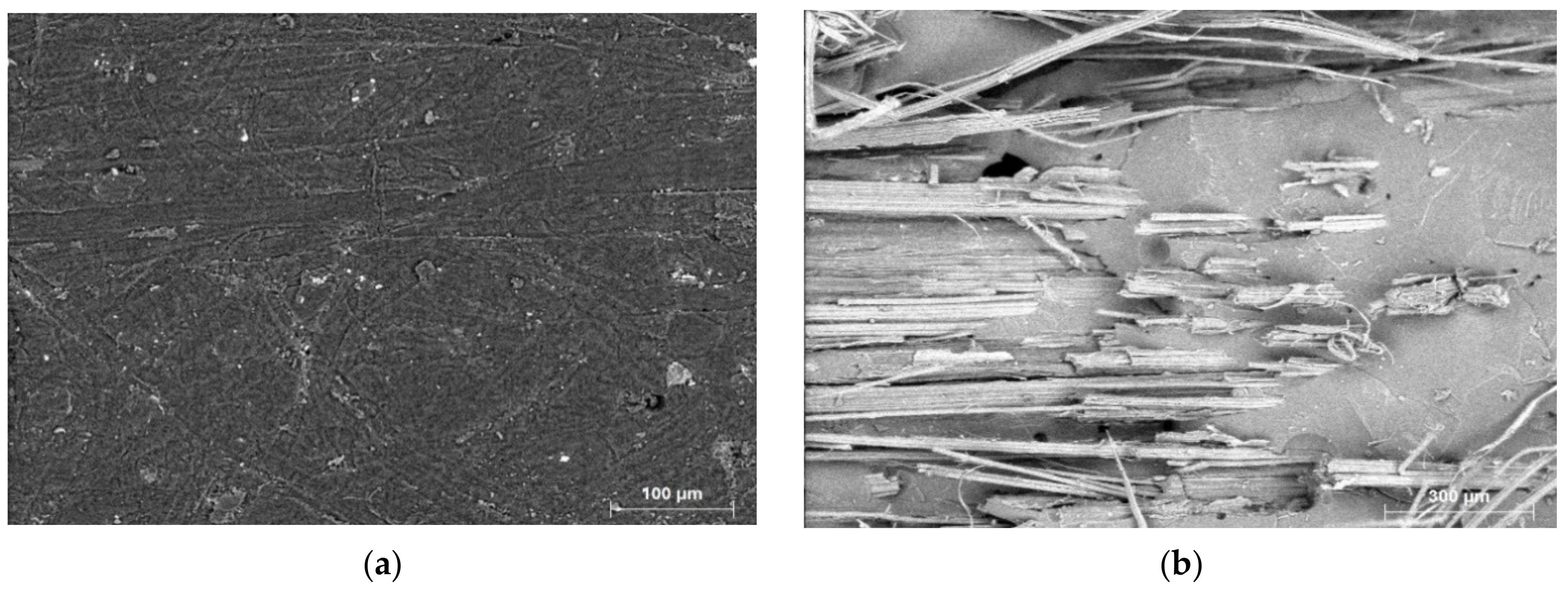 SciELO - Brasil - Mechanical properties and fractography of cement-based  composites reinforced by natural piassava and jute fibers Mechanical  properties and fractography of cement-based composites reinforced by  natural piassava and jute fibers