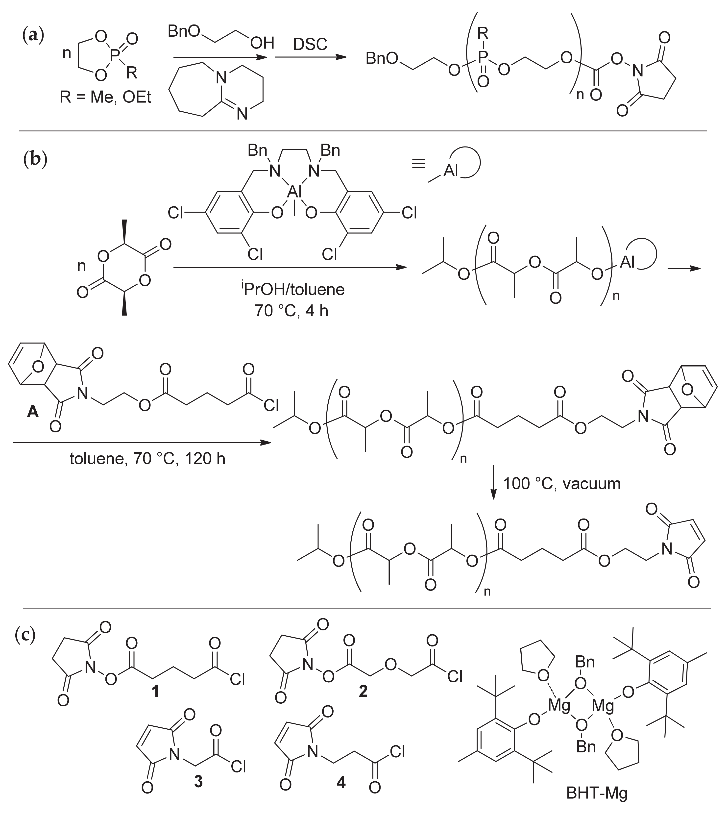 Polymers Free Full Text Functionalized Biodegradable Polymers Via Termination Of Ring Opening Polymerization By Acyl Chlorides Html