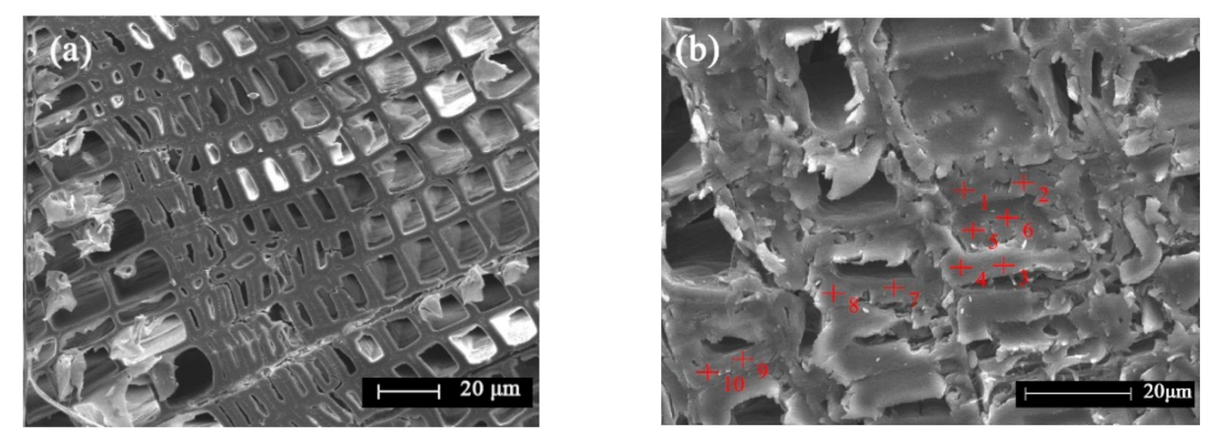 Polymers 13 00876 g005 Polymers 13 00876 g005