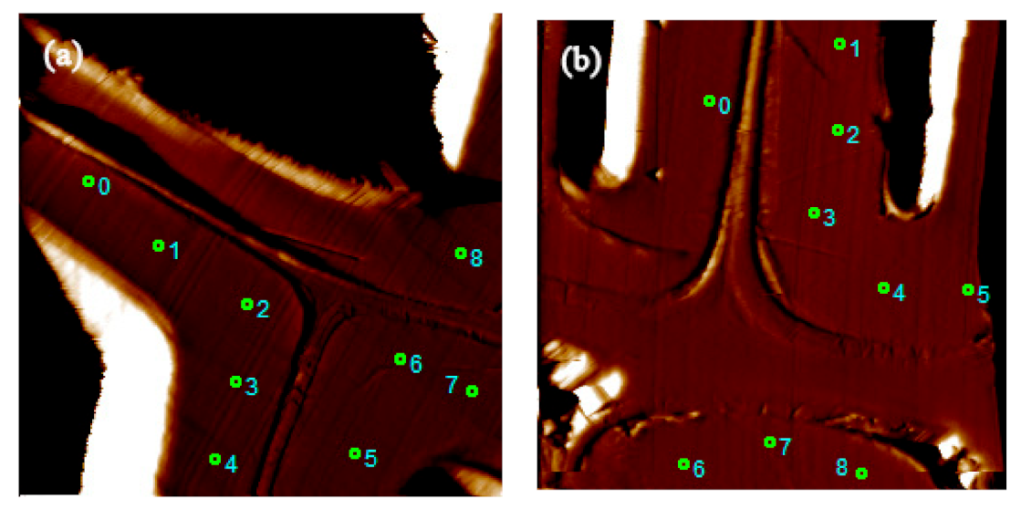 Polymers 13 00876 g006 Polymers 13 00876 g006