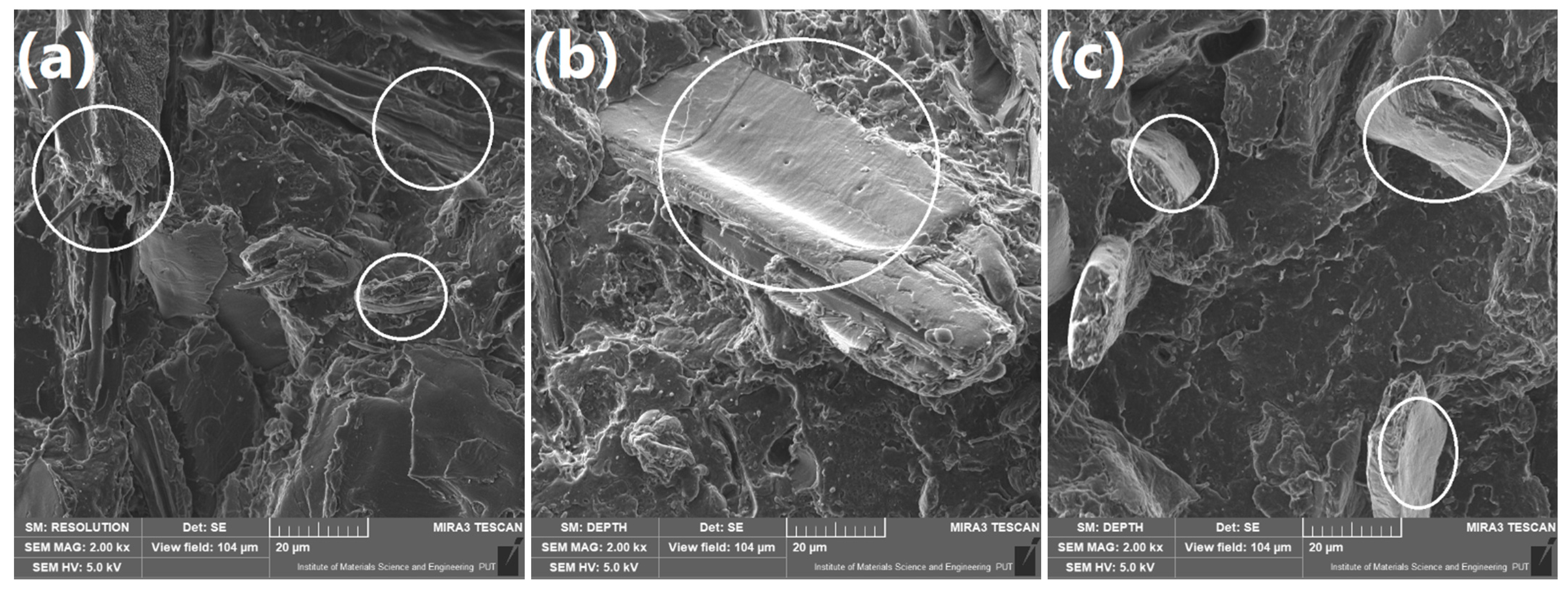 Polymers 13 00893 g005