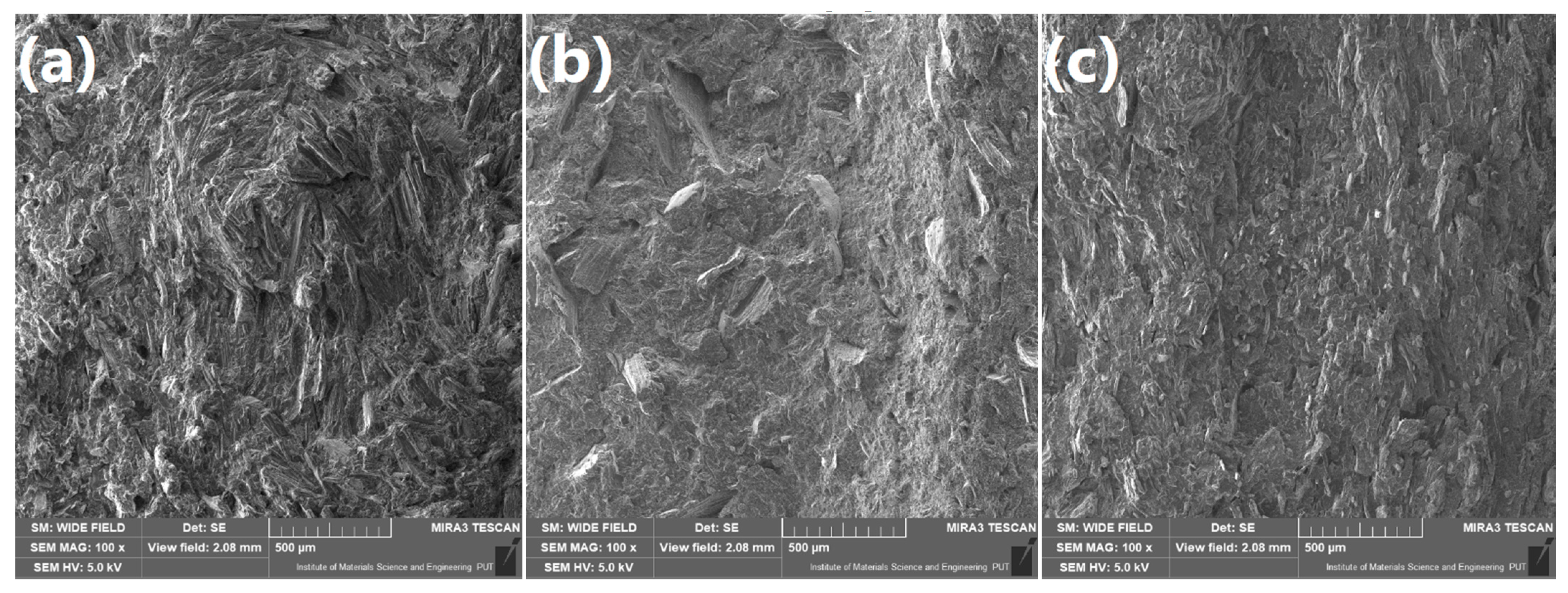Polymers 13 00893 g006