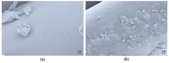 Polymers Free Full Text New Insights Into Antibacterial And Antifungal Properties Cytotoxicity And Aquatic Ecotoxicity Of Flame Retardant Pa6 Dopo Derivative Nanocomposite Textile Fibers Html