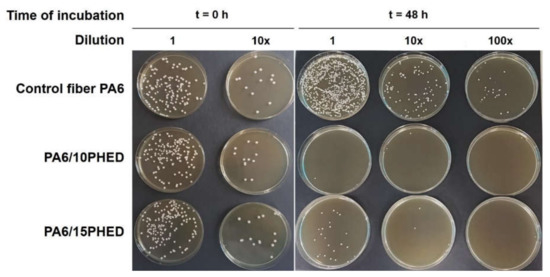 Polymers | Free Full-Text | New Insights into Antibacterial and 