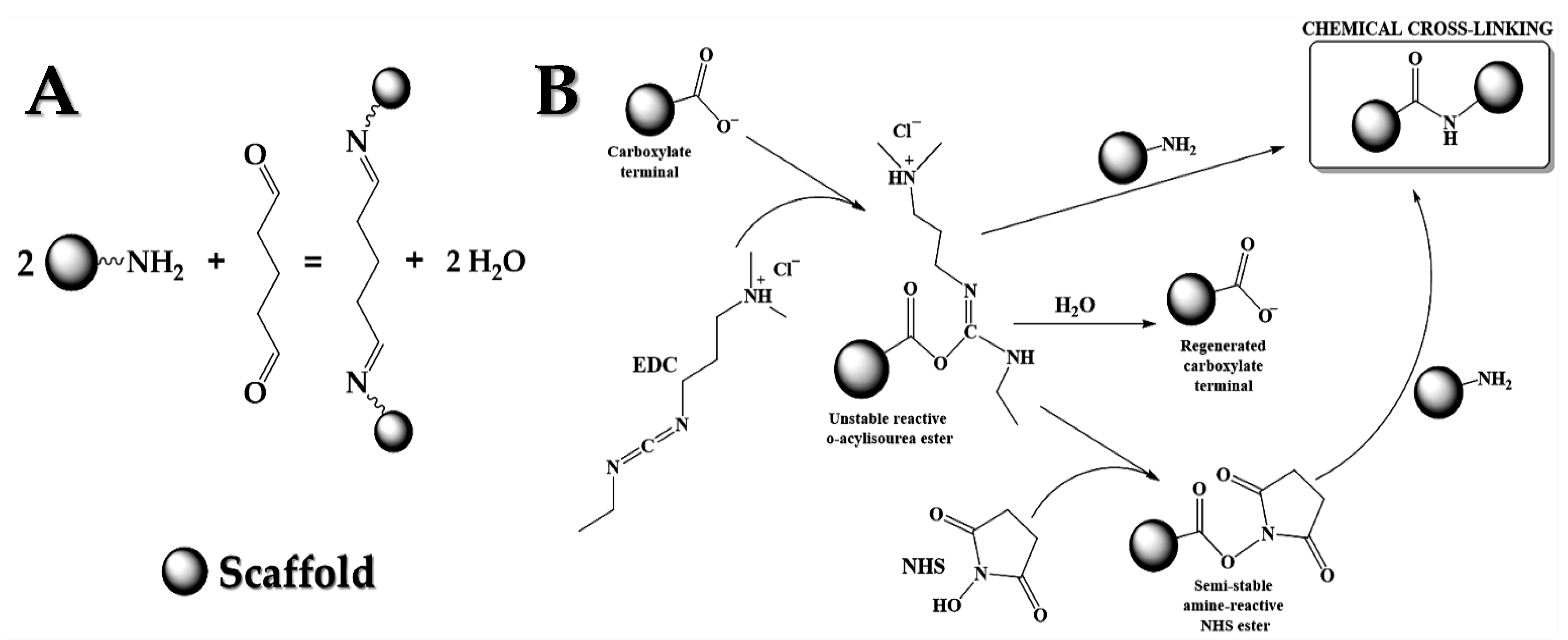 Polymers 13 00907 g001 Polymers 13 00907 g001