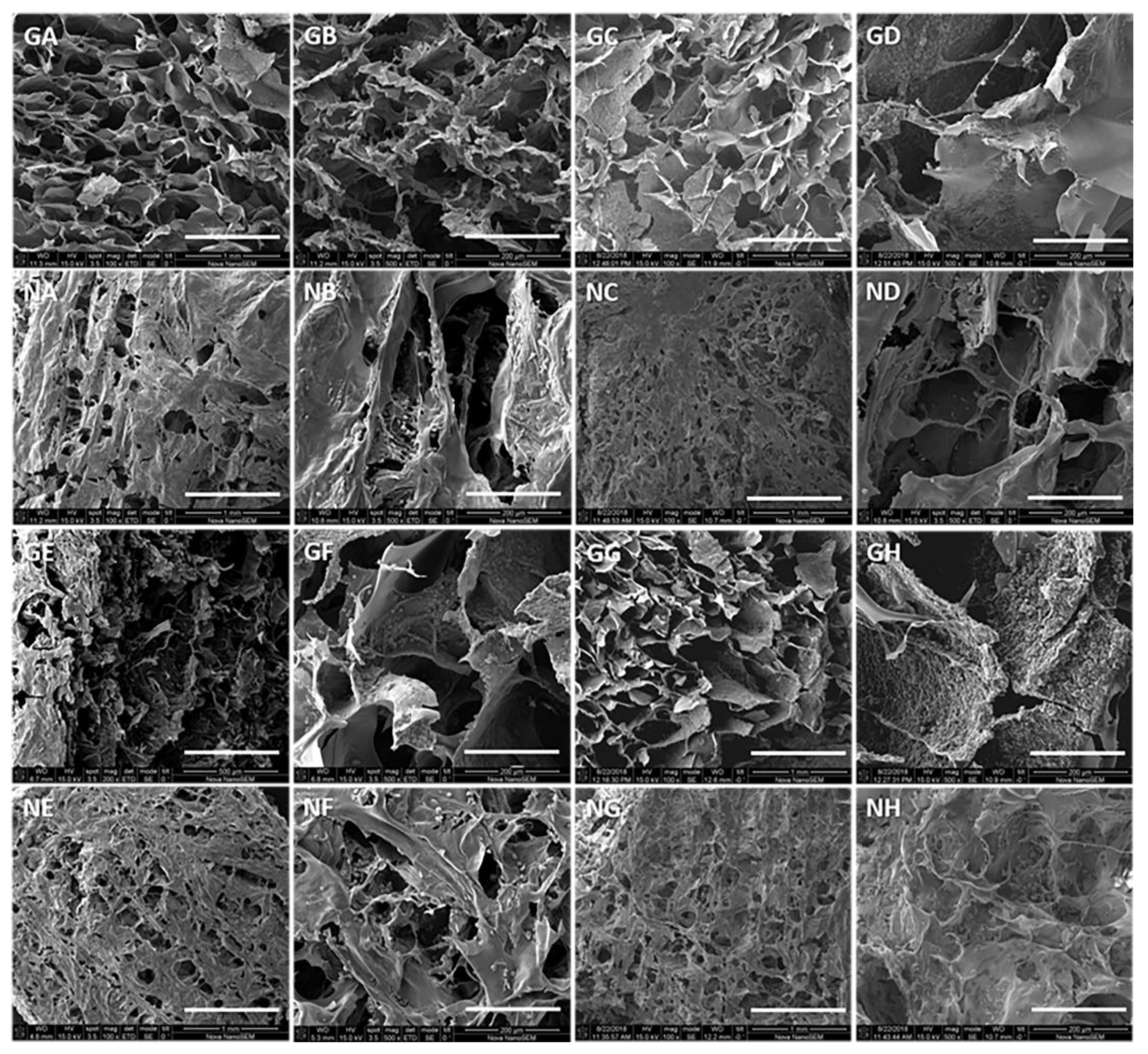 Polymers 13 00907 g007 Polymers 13 00907 g007