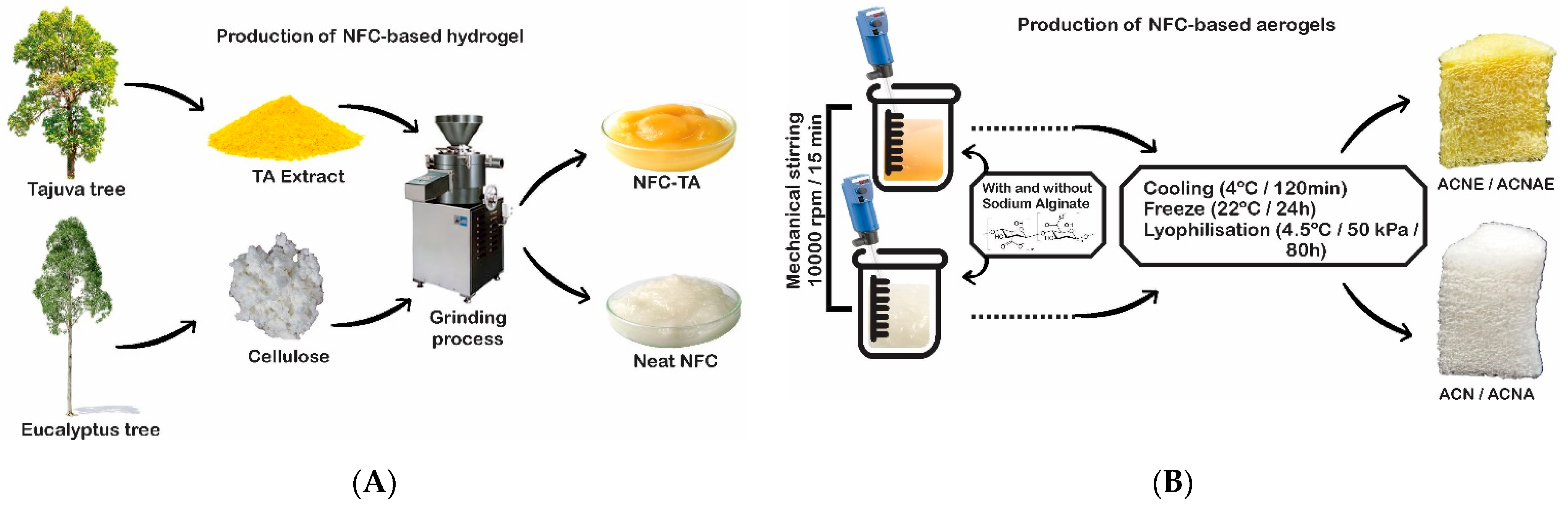Polymers 13 00908 g001 Polymers 13 00908 g001
