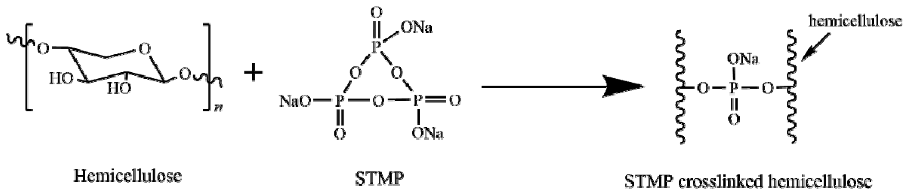 Polymers 13 00927 g002 Polymers 13 00927 g002