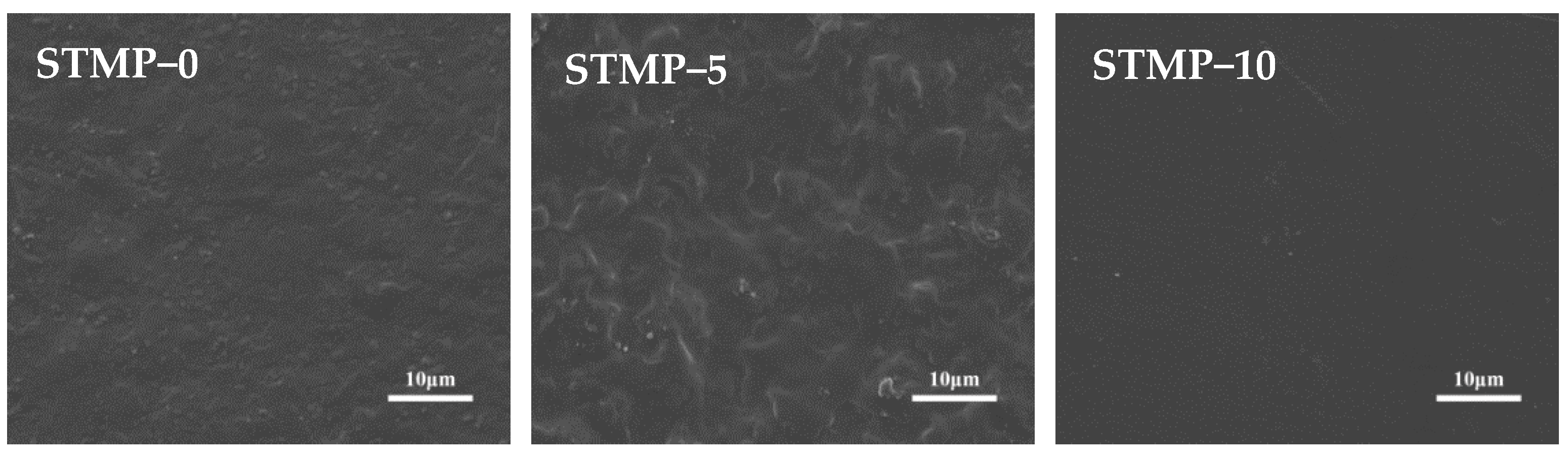 Polymers 13 00927 g006a Polymers 13 00927 g006a