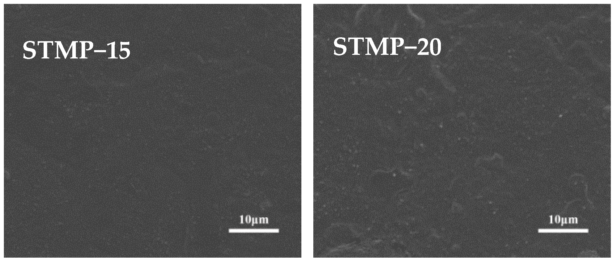 Polymers 13 00927 g006b Polymers 13 00927 g006b