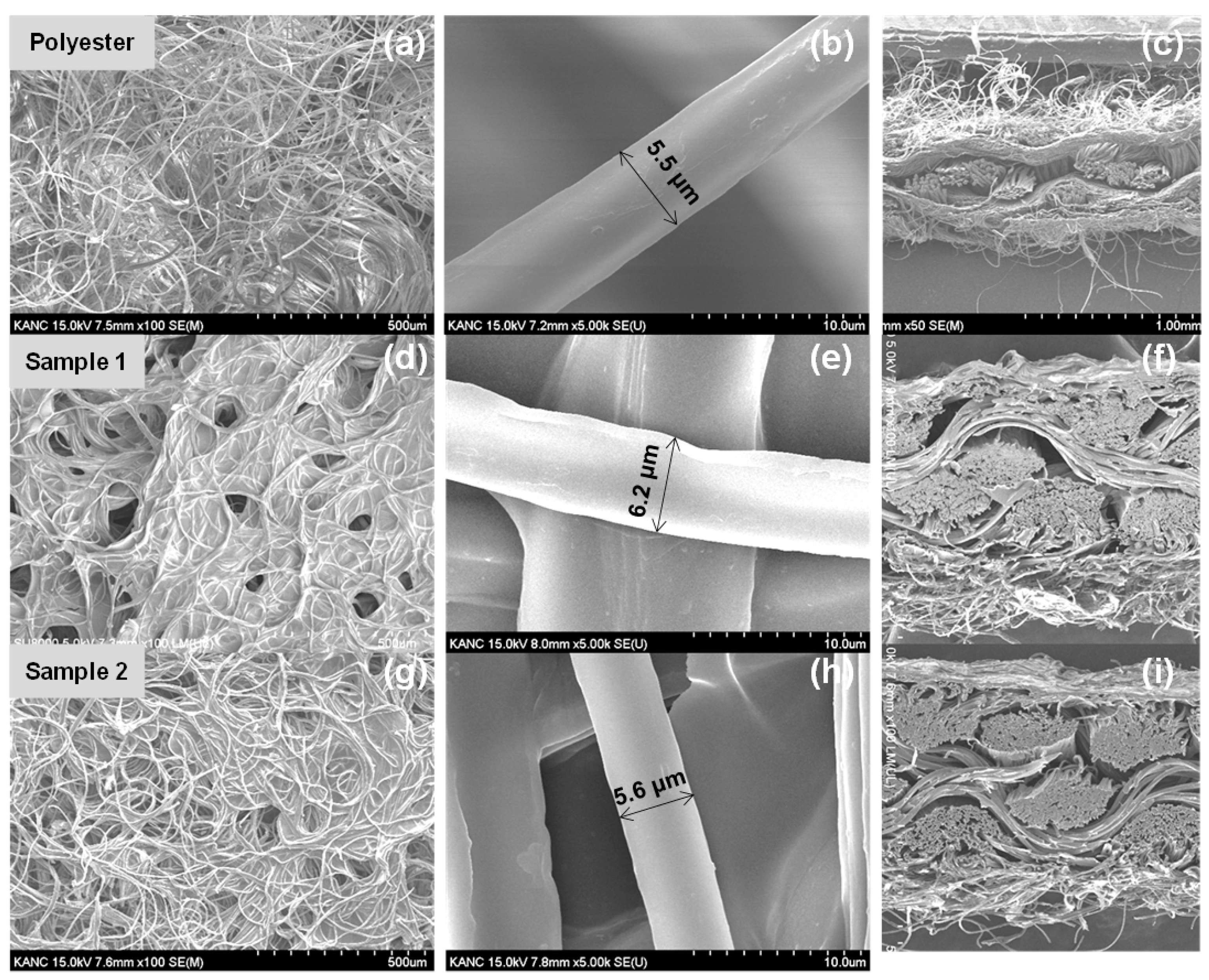 Polymers 13 00945 g002
