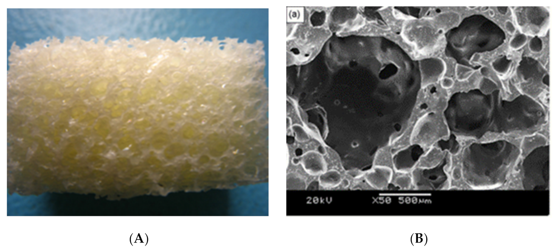 Polymers 13 00946 g011 Polymers 13 00946 g011