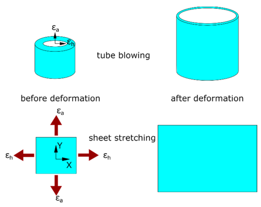 Polymers 13 00967 g001