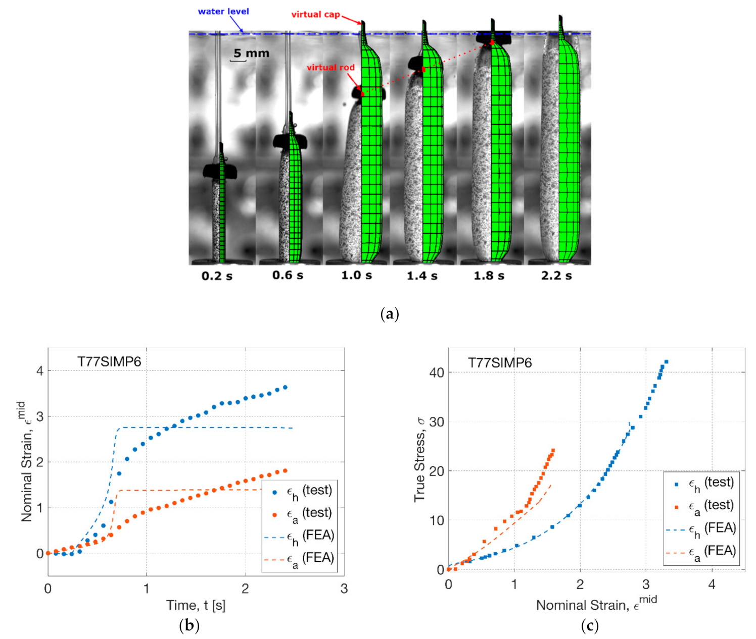 Polymers 13 00967 g011