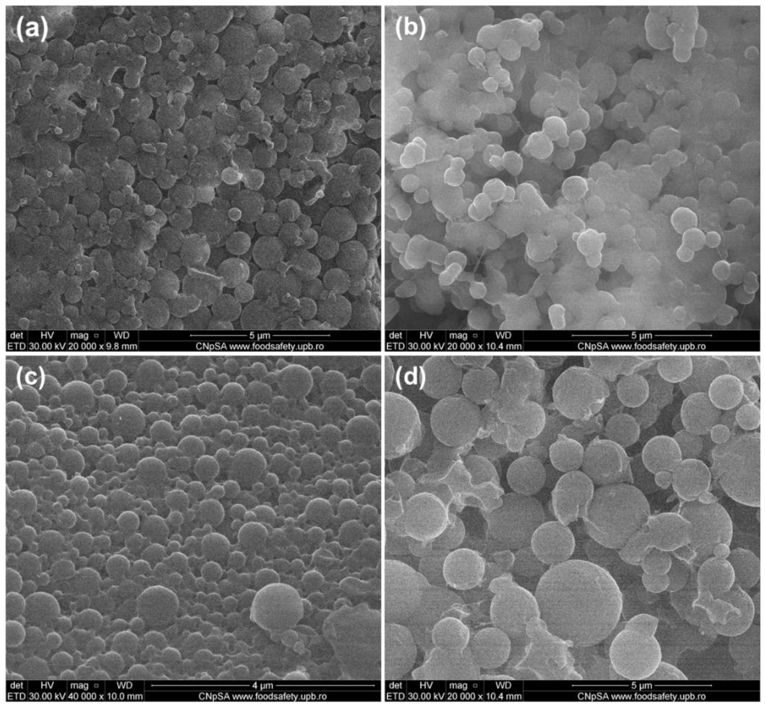 Polymers Free Full Text Composite P 3hb 3hv Cs Spheres For Enhanced Antibiotic Efficiency Html