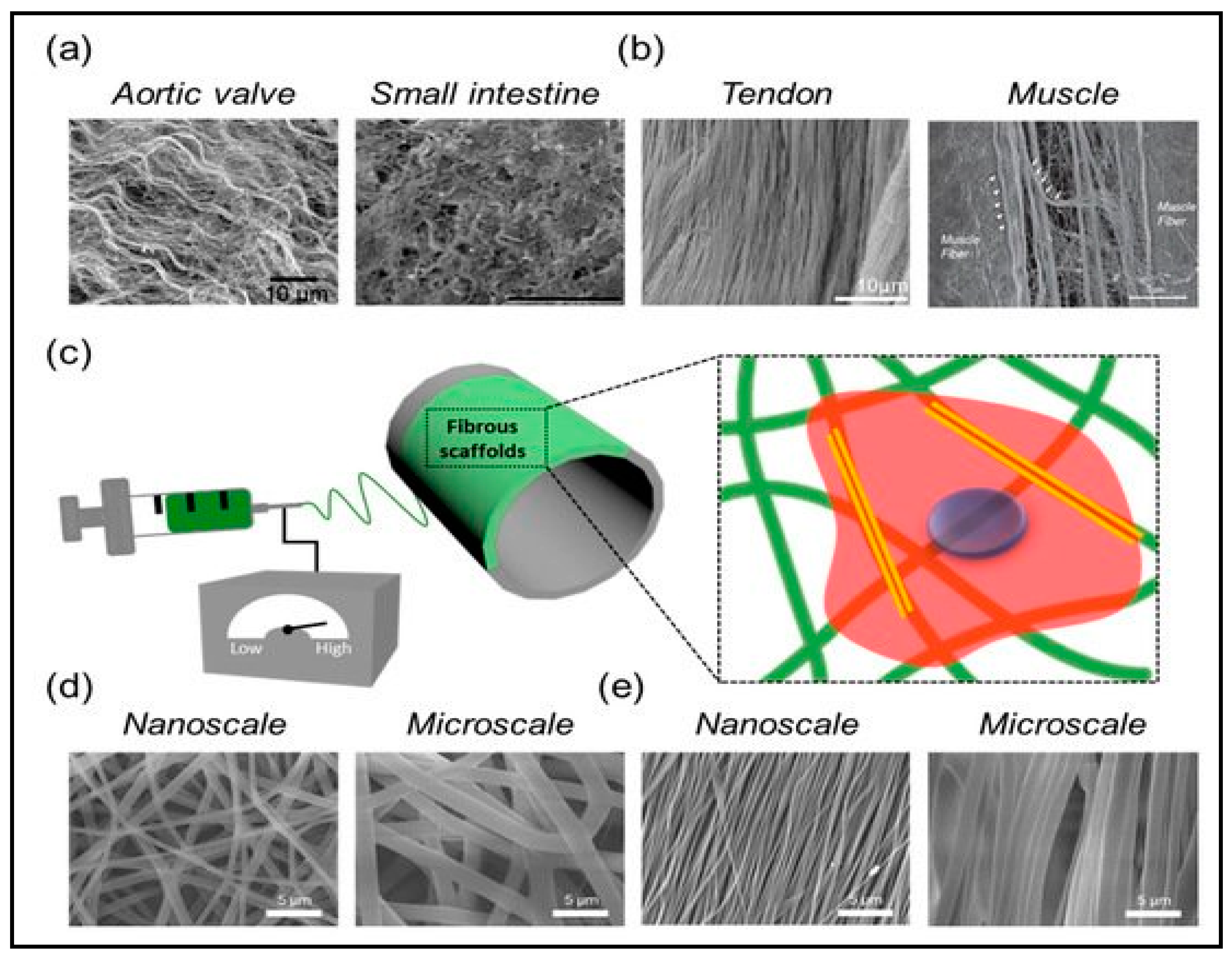 Polymers 13 01006 g008 Polymers 13 01006 g008