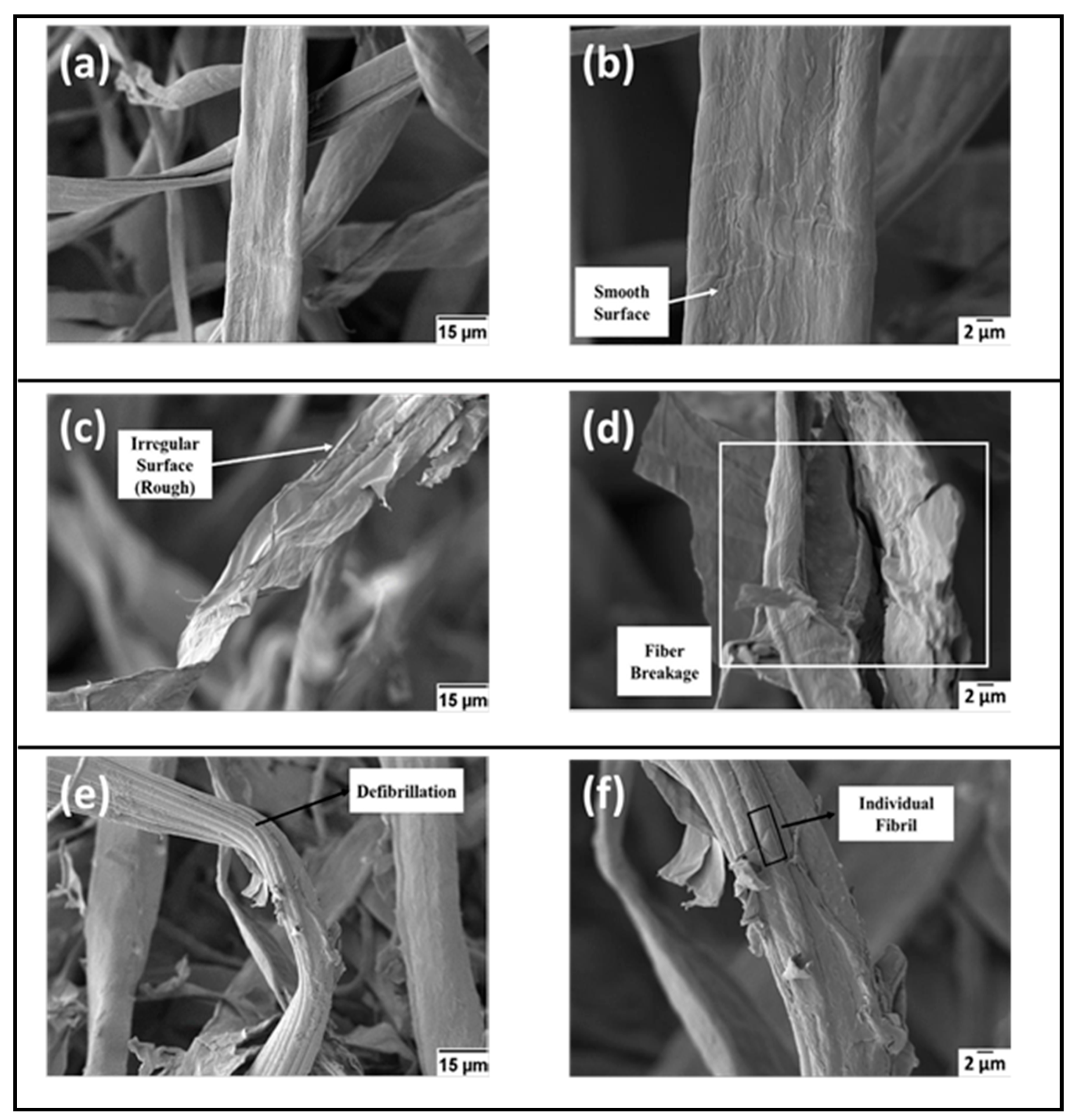 Polymers 13 01006 g012 Polymers 13 01006 g012
