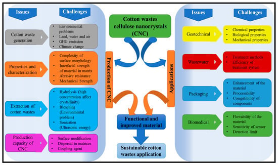 Polymers Free Full Text Cotton Wastes Functionalized Biomaterials From Micro To Nano A Cleaner Approach For A Sustainable Environmental Application Html