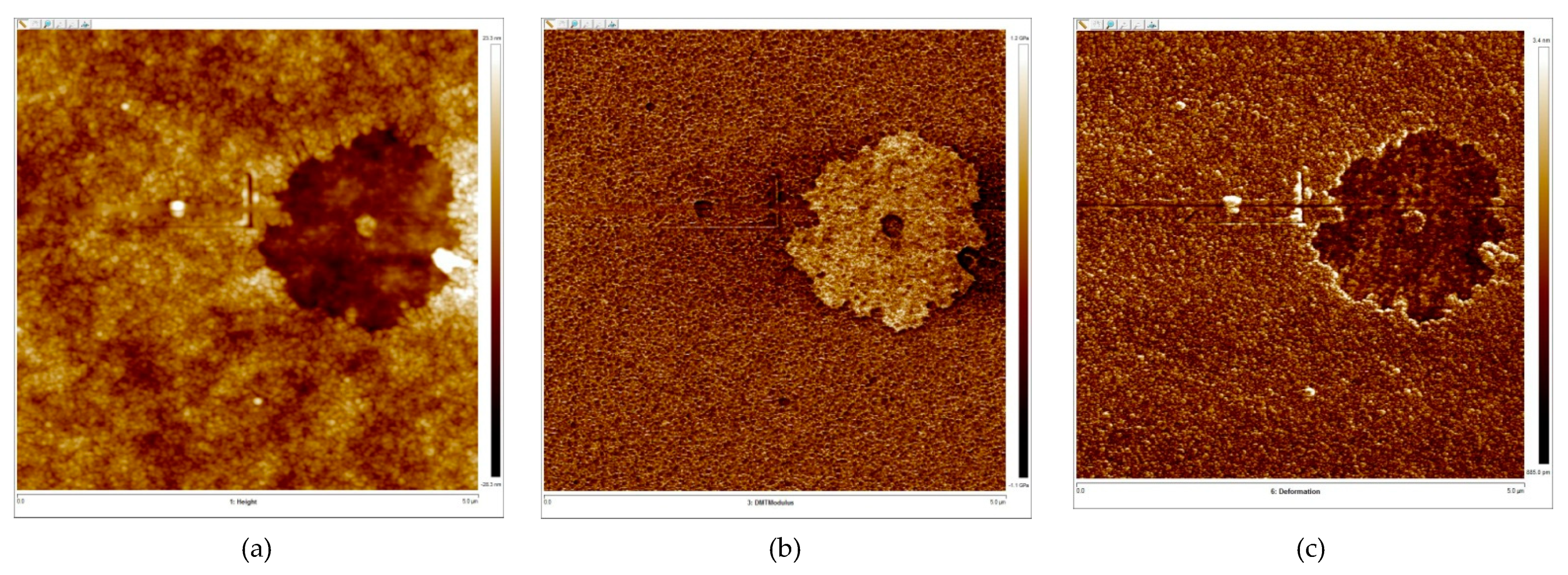 Polymers 13 01007 g011