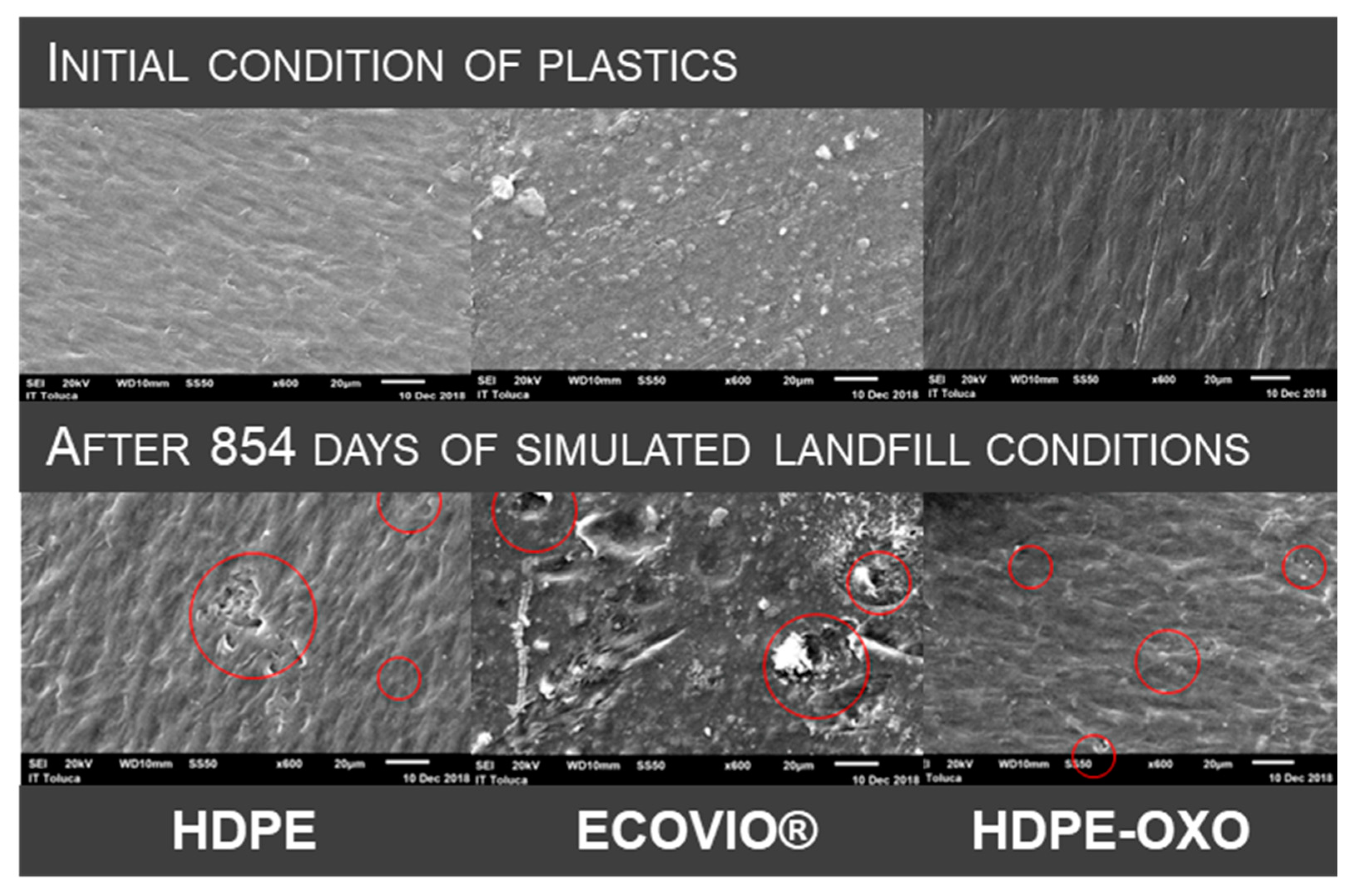 Polymers 13 01014 g004