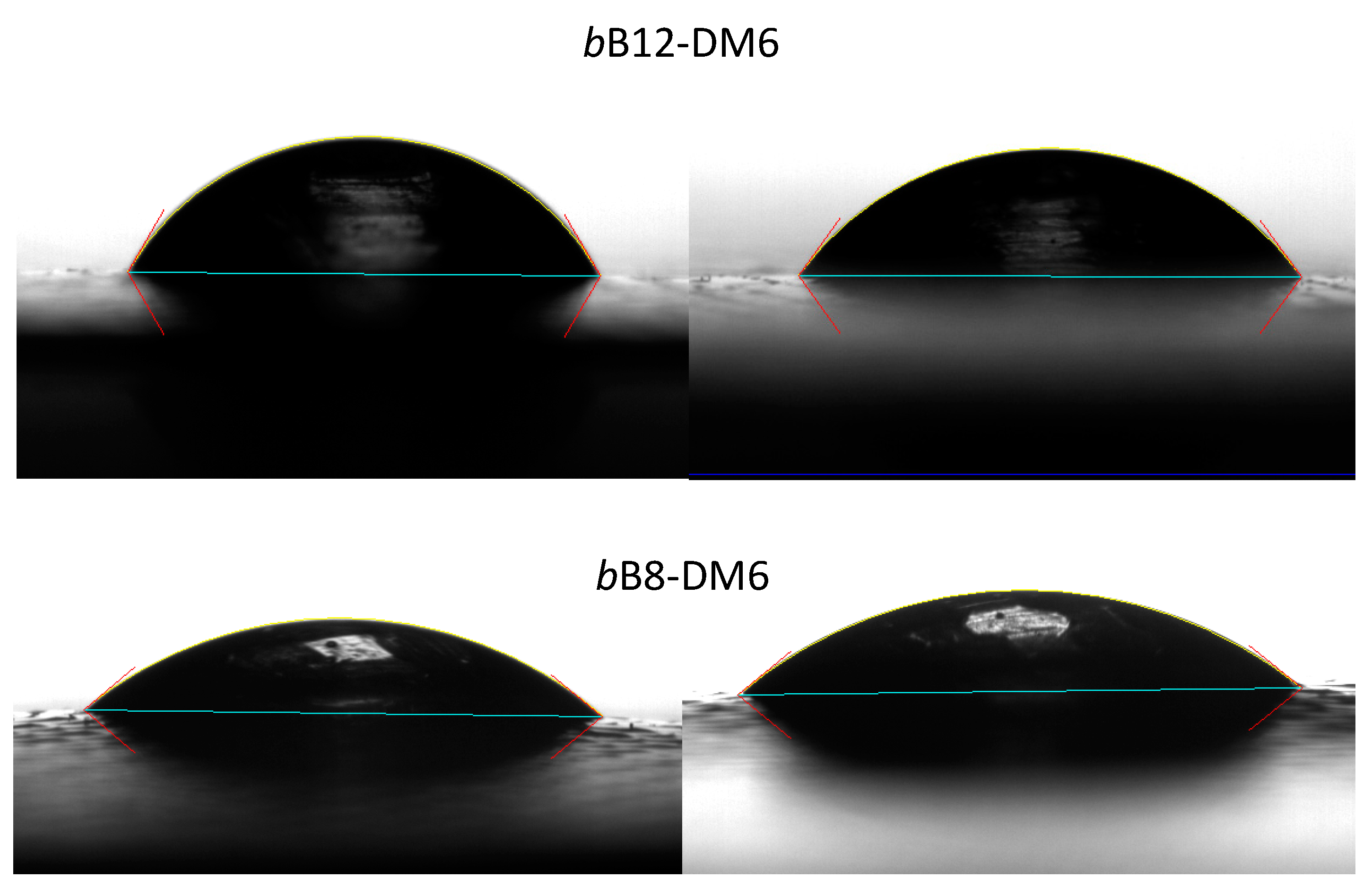 Polymers 13 01018 g007