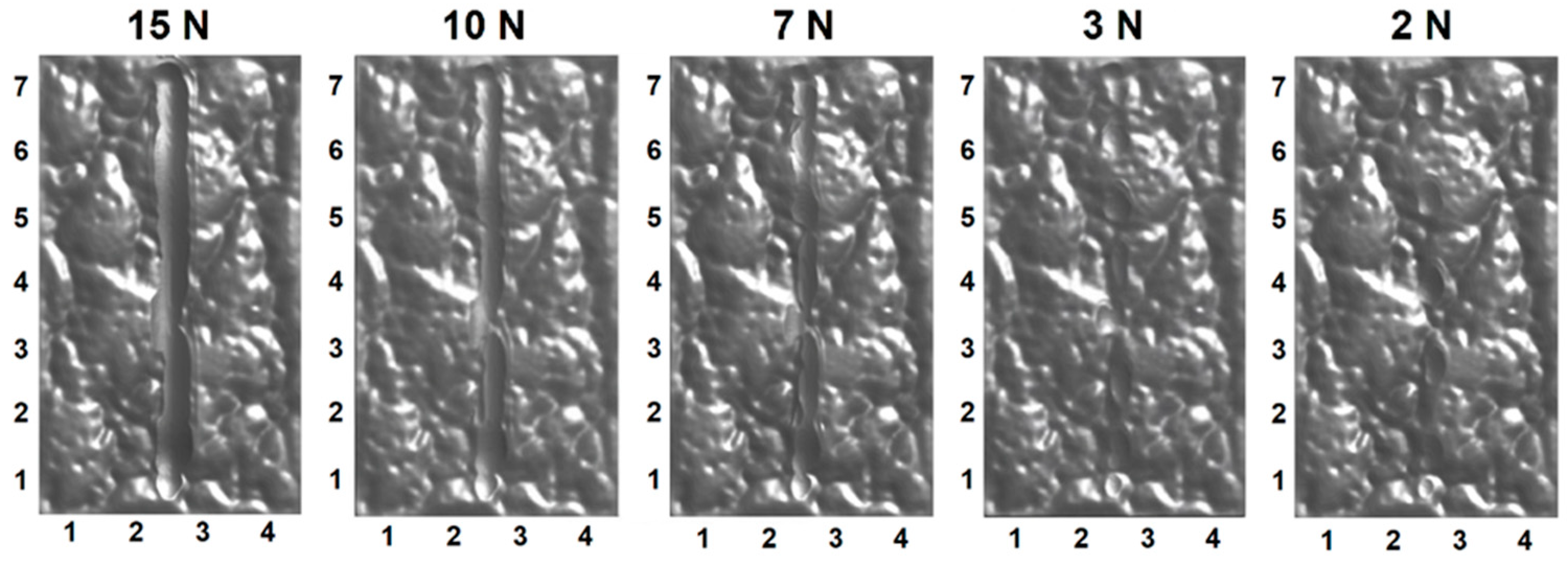 Polymers 13 01022 g012