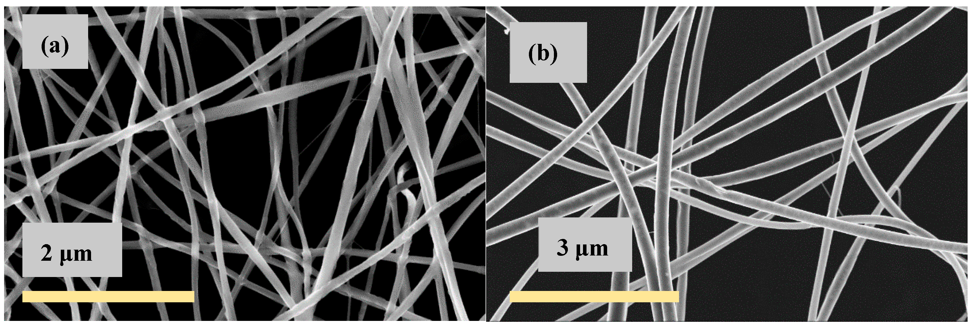 Polymers 13 01037 g001 Polymers 13 01037 g001