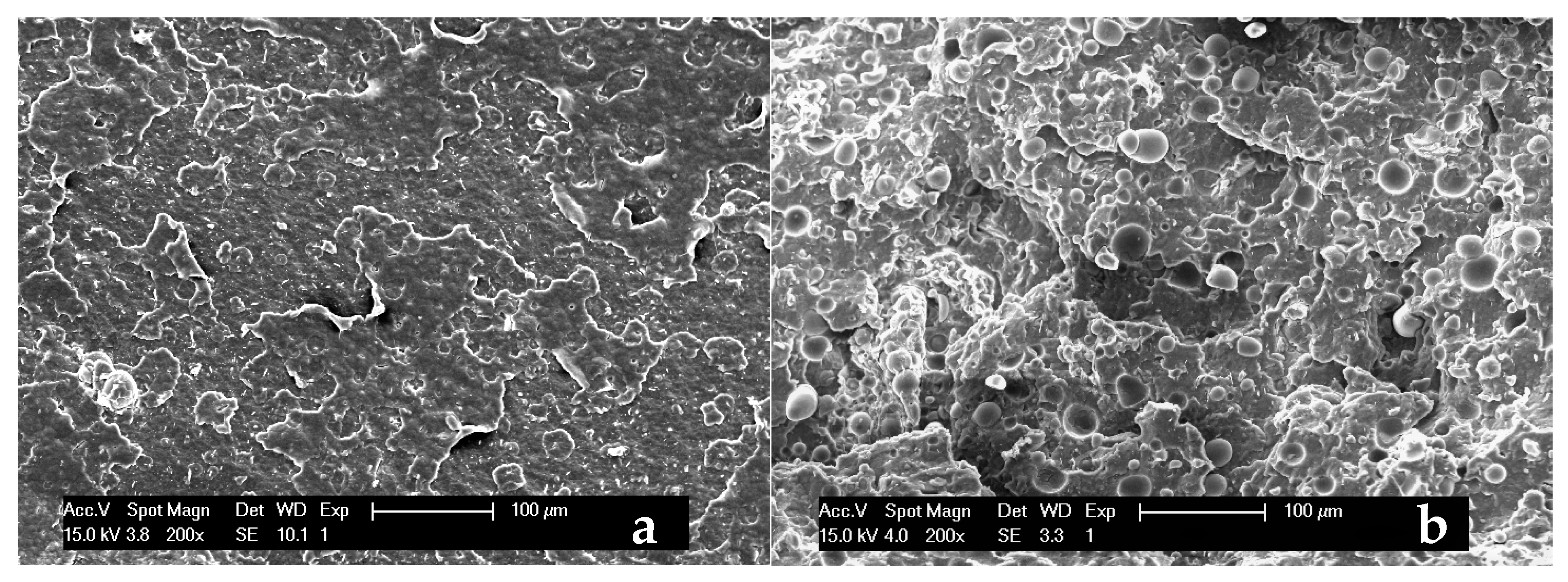 Polymers 13 01048 g012 Polymers 13 01048 g012