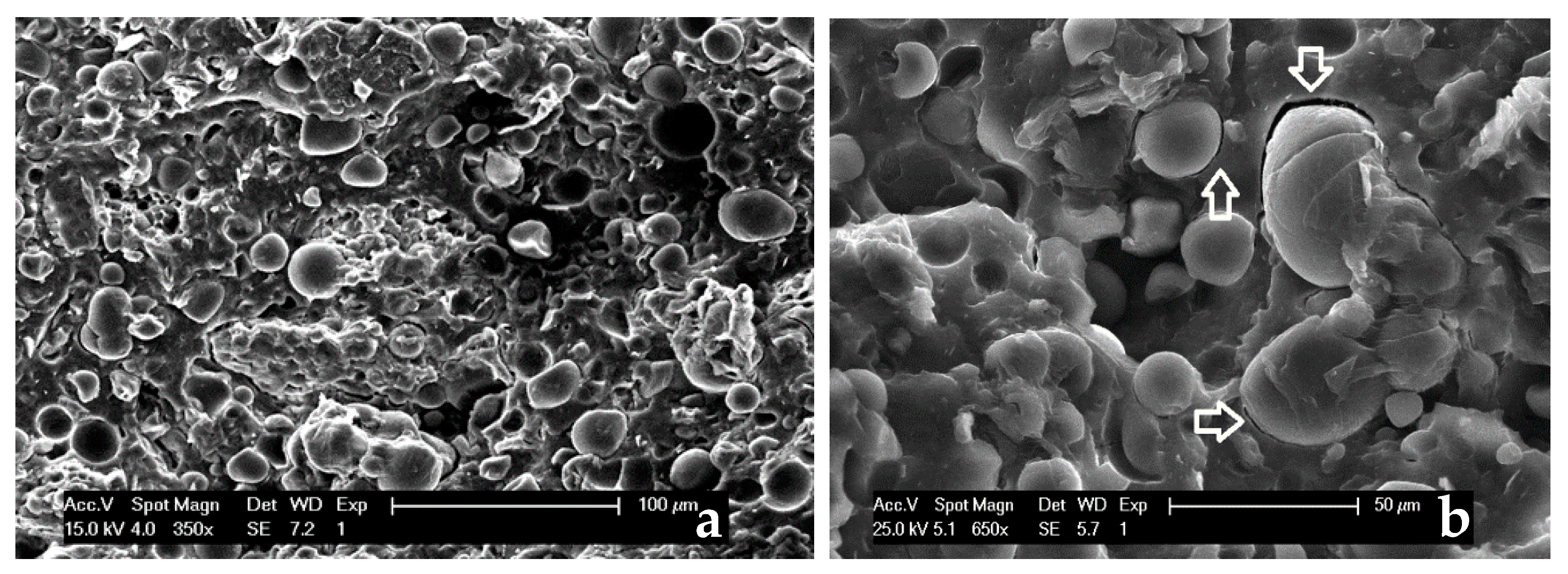 Polymers 13 01048 g013 Polymers 13 01048 g013