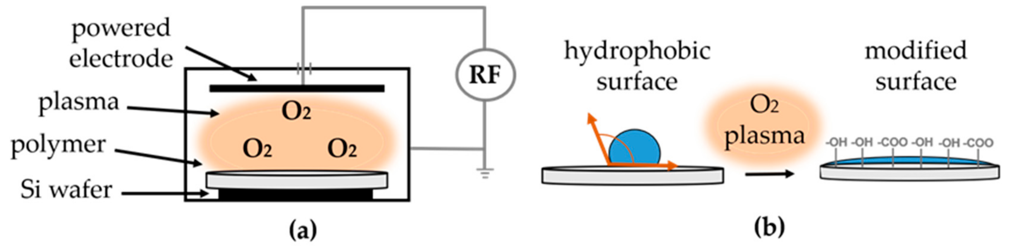 Polymers 13 01056 g001